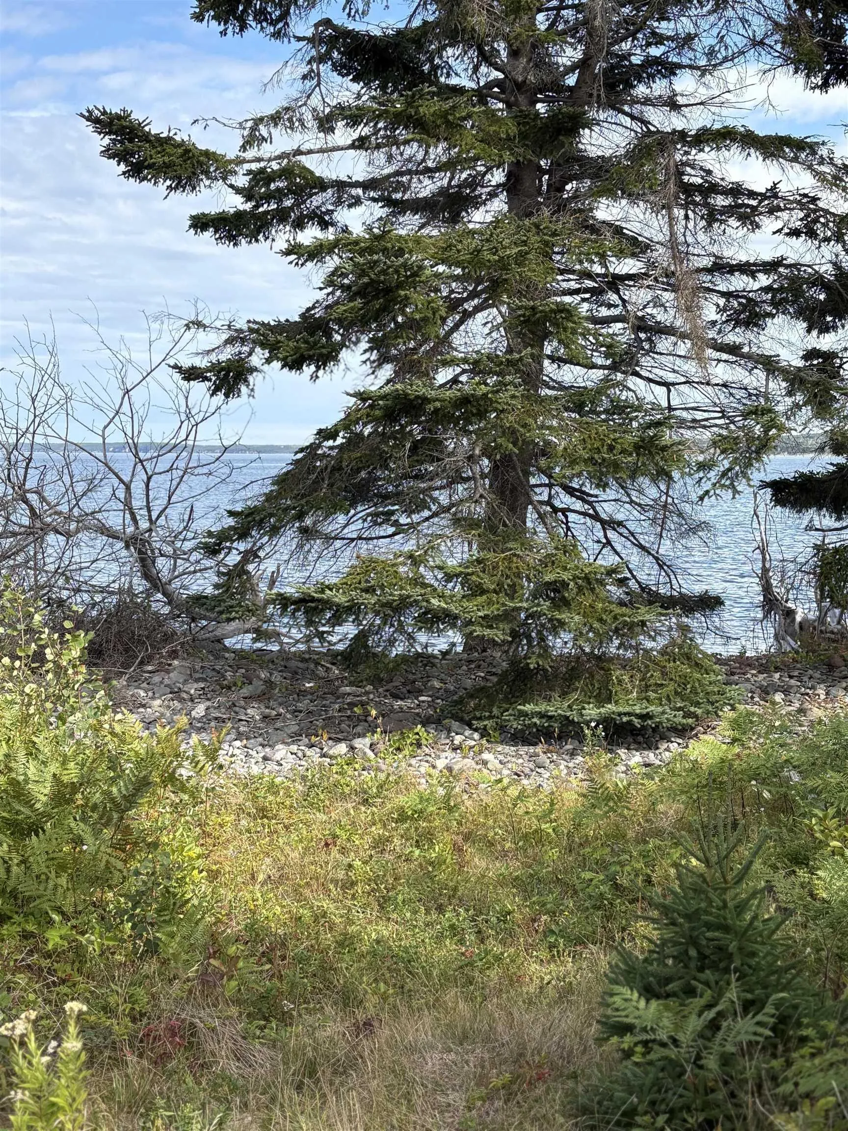 0 Mira Bay Drive, Mira Gut, NS B1K 2X5, ,Land,For Sale,Mira Bay,202523311