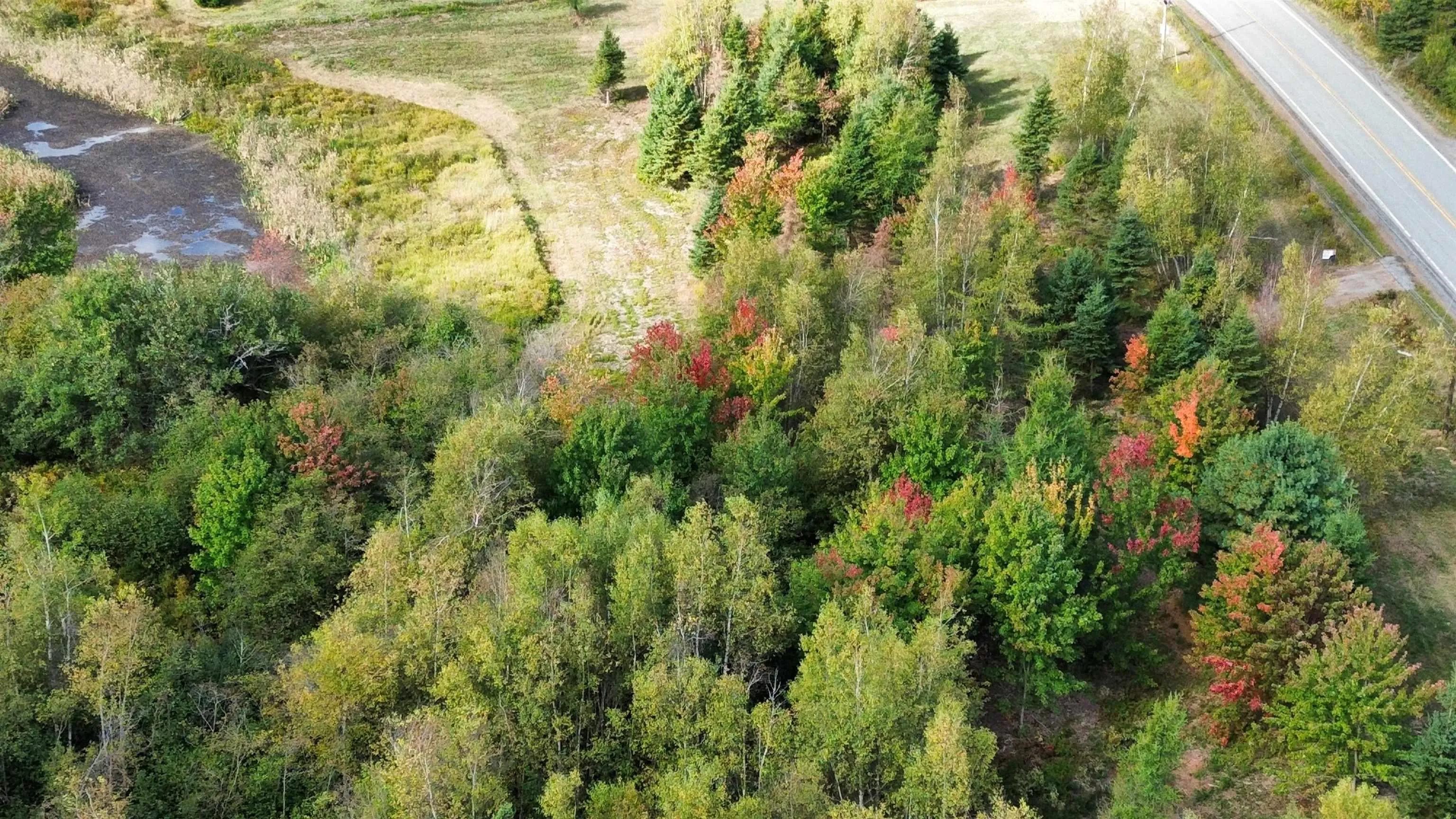 1-25 Hwy#6 Highway, Pugwash, NS B0K 1L0, ,Land,For Sale,Hwy#6,202524909