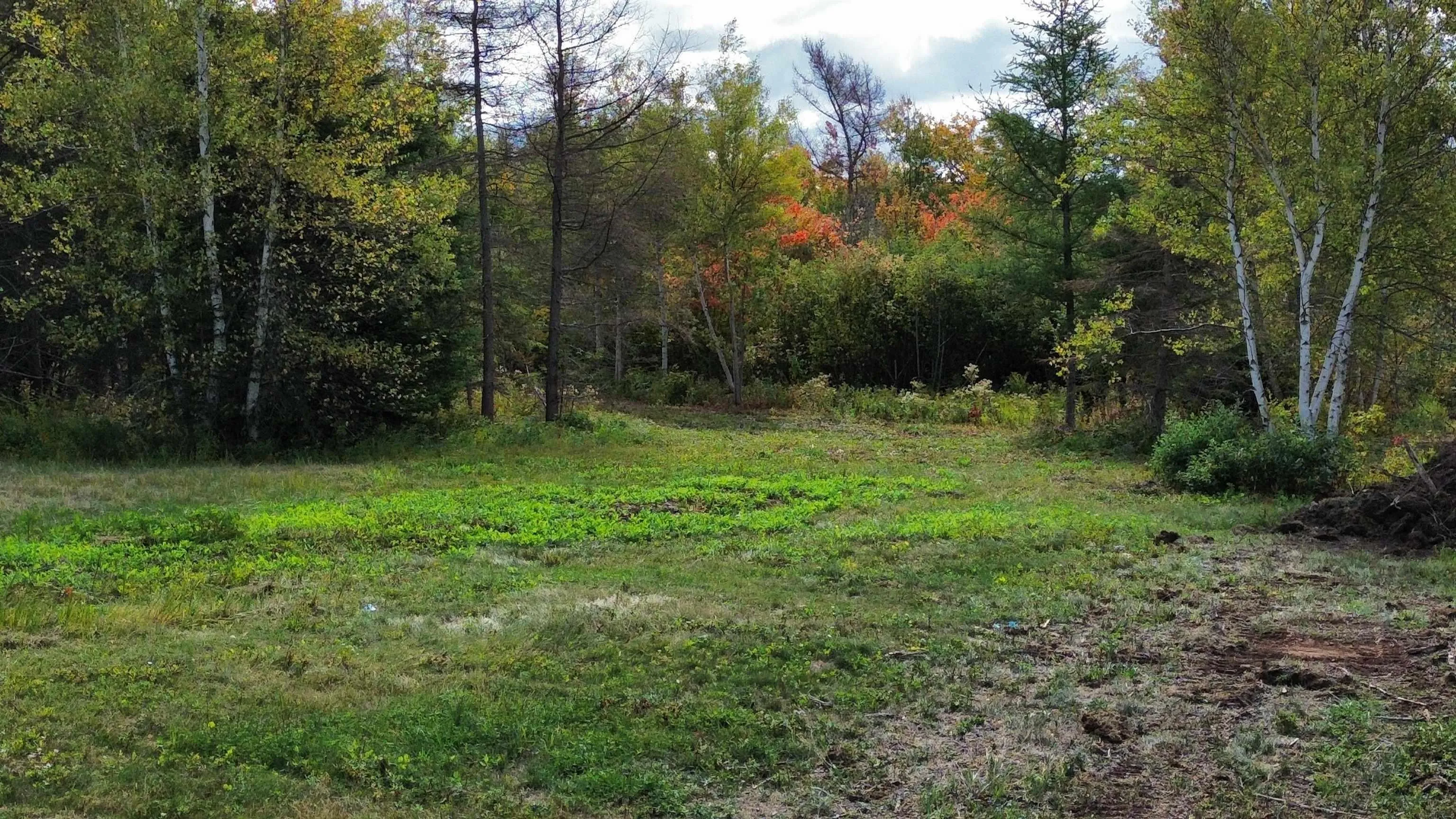 1-25 Hwy#6 Highway, Pugwash, NS B0K 1L0, ,Land,For Sale,Hwy#6,202524909