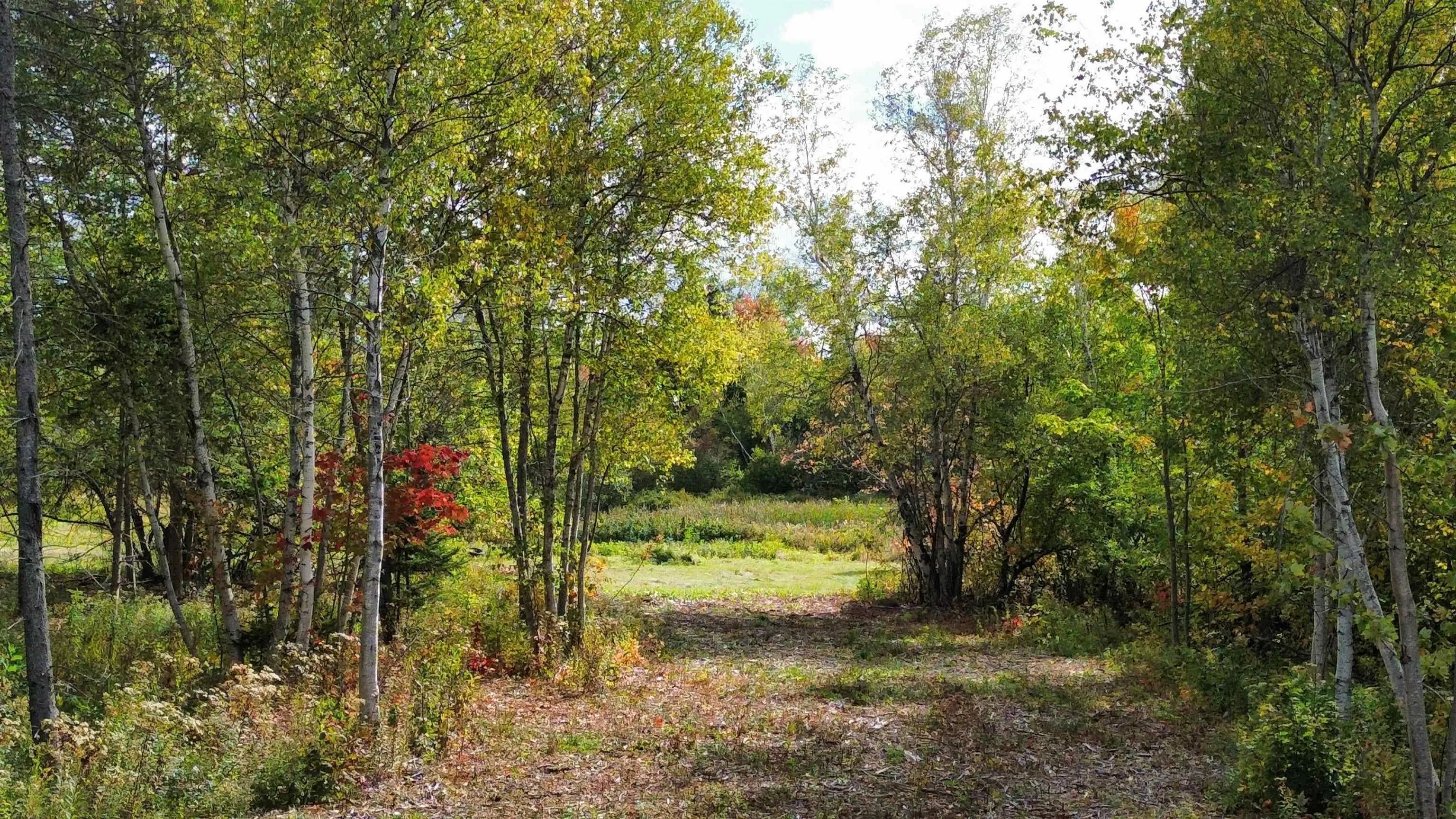 1-25 Hwy#6 Highway, Pugwash, NS B0K 1L0, ,Land,For Sale,Hwy#6,202524909
