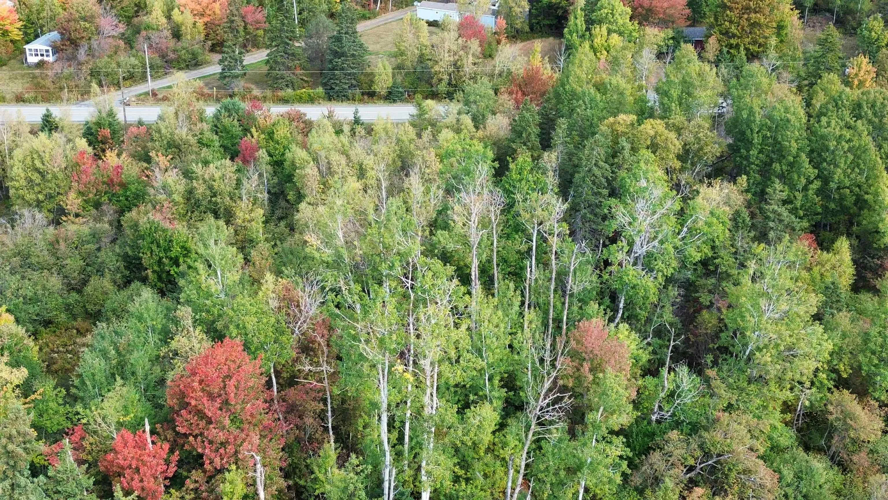 1-25 Hwy#6 Highway, Pugwash, NS B0K 1L0, ,Land,For Sale,Hwy#6,202524909