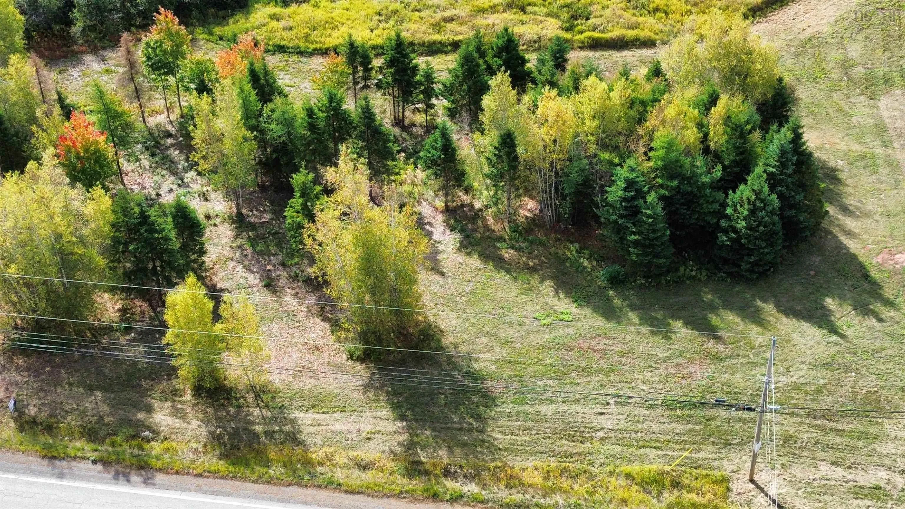 1-25 Hwy#6 Highway, Pugwash, NS B0K 1L0, ,Land,For Sale,Hwy#6,202524909
