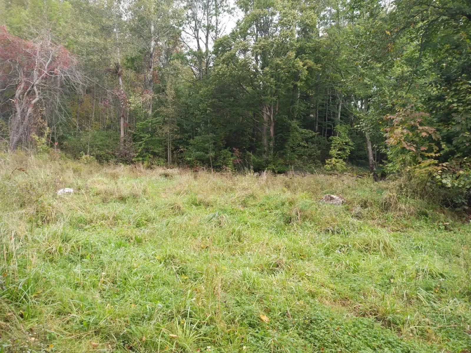 793 Lahave Street, Bridgewater Ns B4v 2v2, ,Land,For Sale,Lahave,202505336