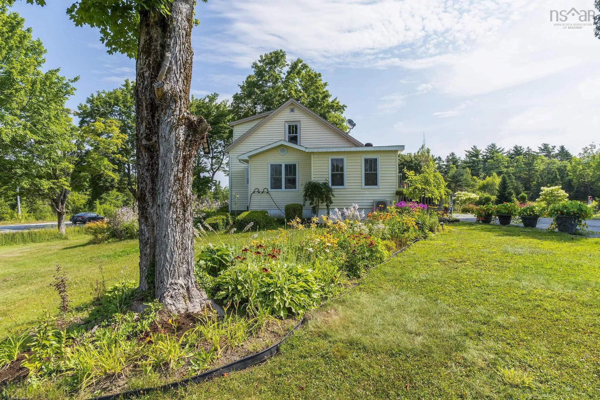 18665 Highway 103, Middlewood, NS B4V 6L8, 3 Bedrooms Bedrooms, ,2 BathroomsBathrooms,Residential,For Sale,Highway 103,202519246