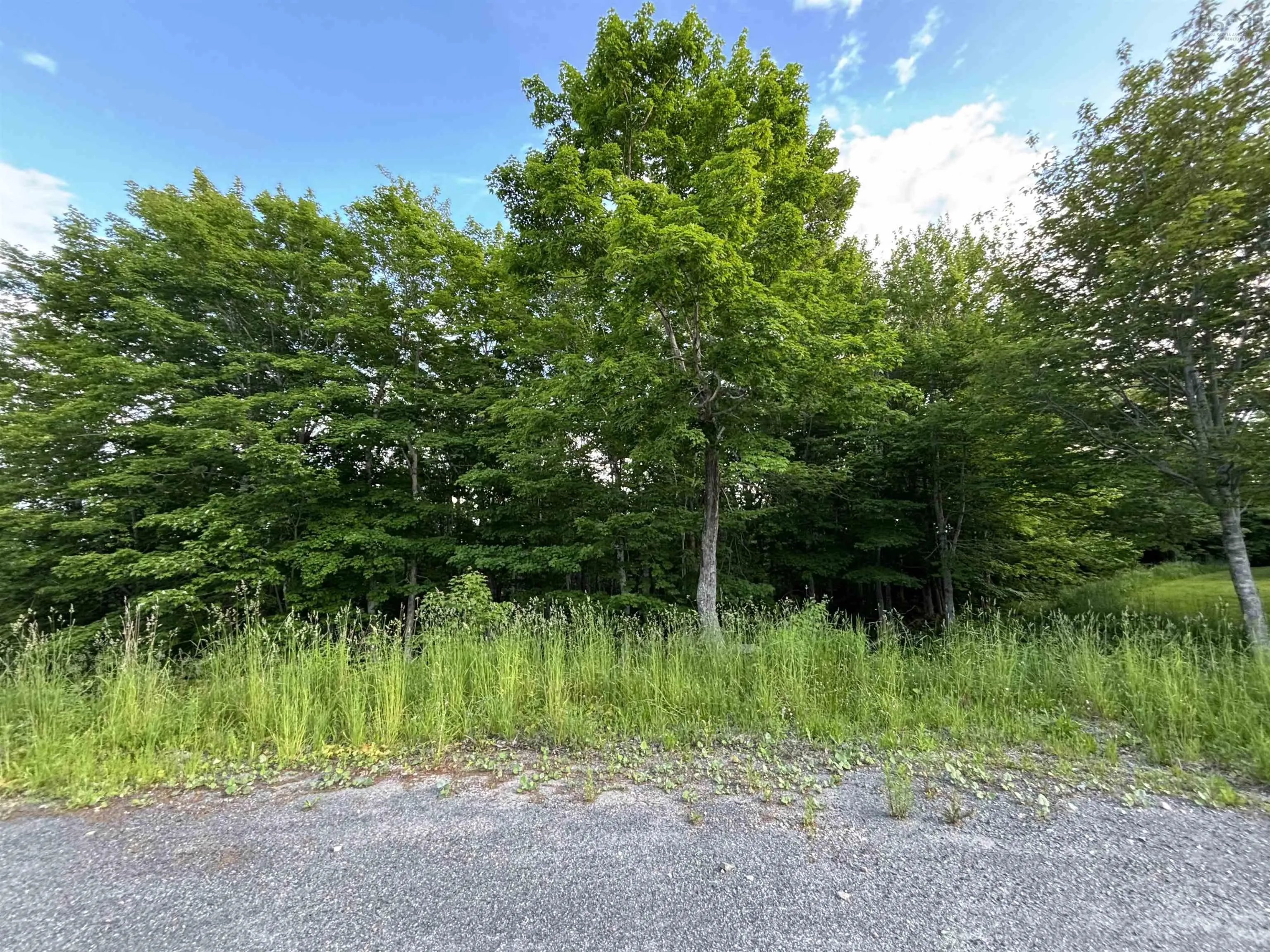 Parkland Place, Dalem Lake, NS B1Y 2X9, ,Land,For Sale,Parkland,202520779