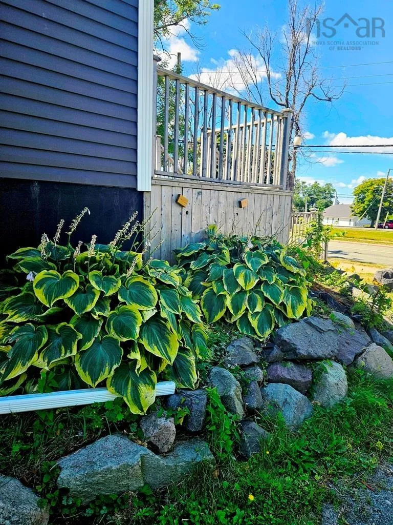 366 Whitney Avenue, Sydney, NS B1P 5A7, 2 Bedrooms Bedrooms, ,1 BathroomBathrooms,Residential,For Sale,Whitney,202521660