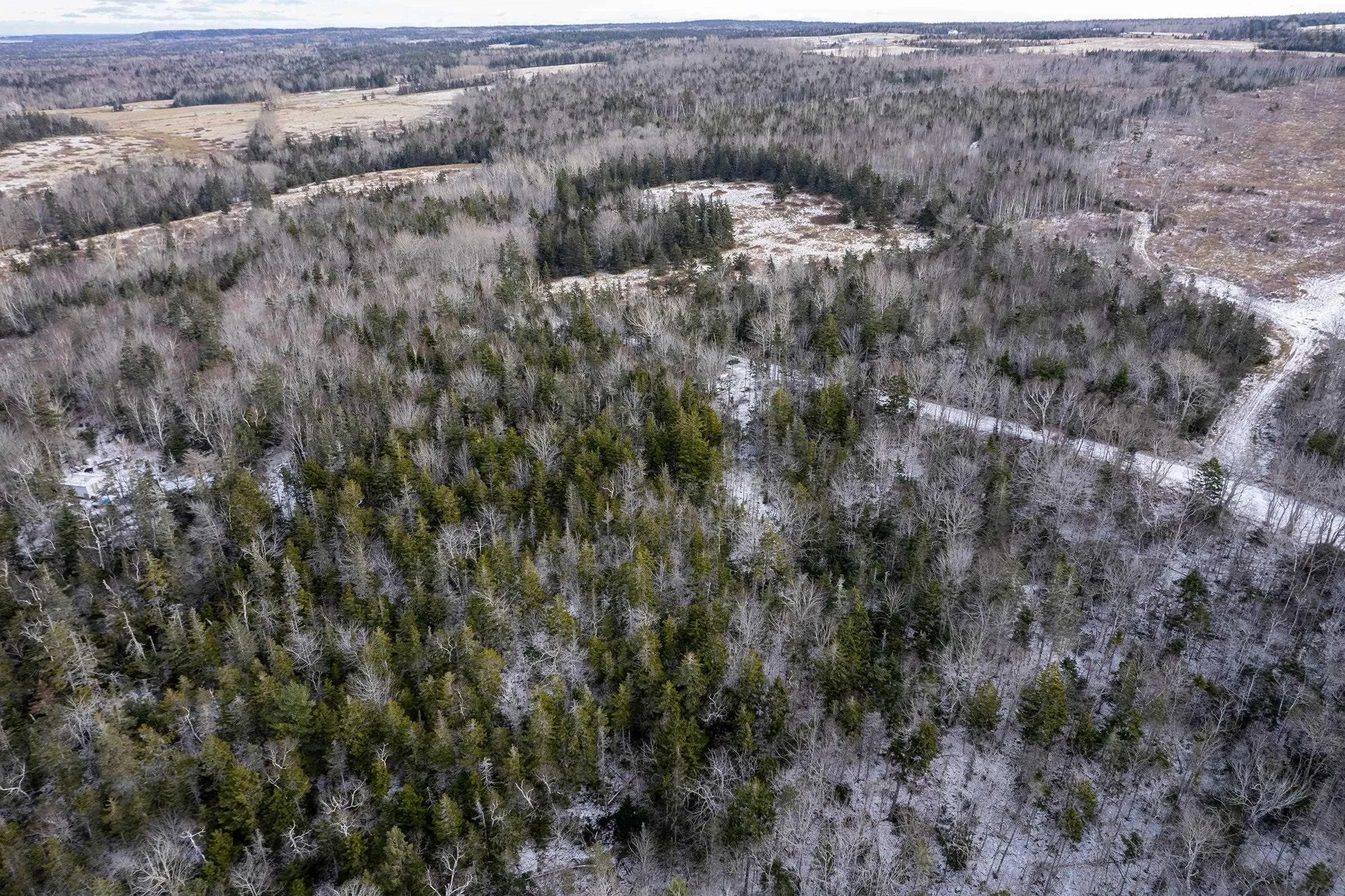 Lot Shore Road E, Mount Hanley Ns B0s 1p0, ,Land,For Sale,Shore,202400437