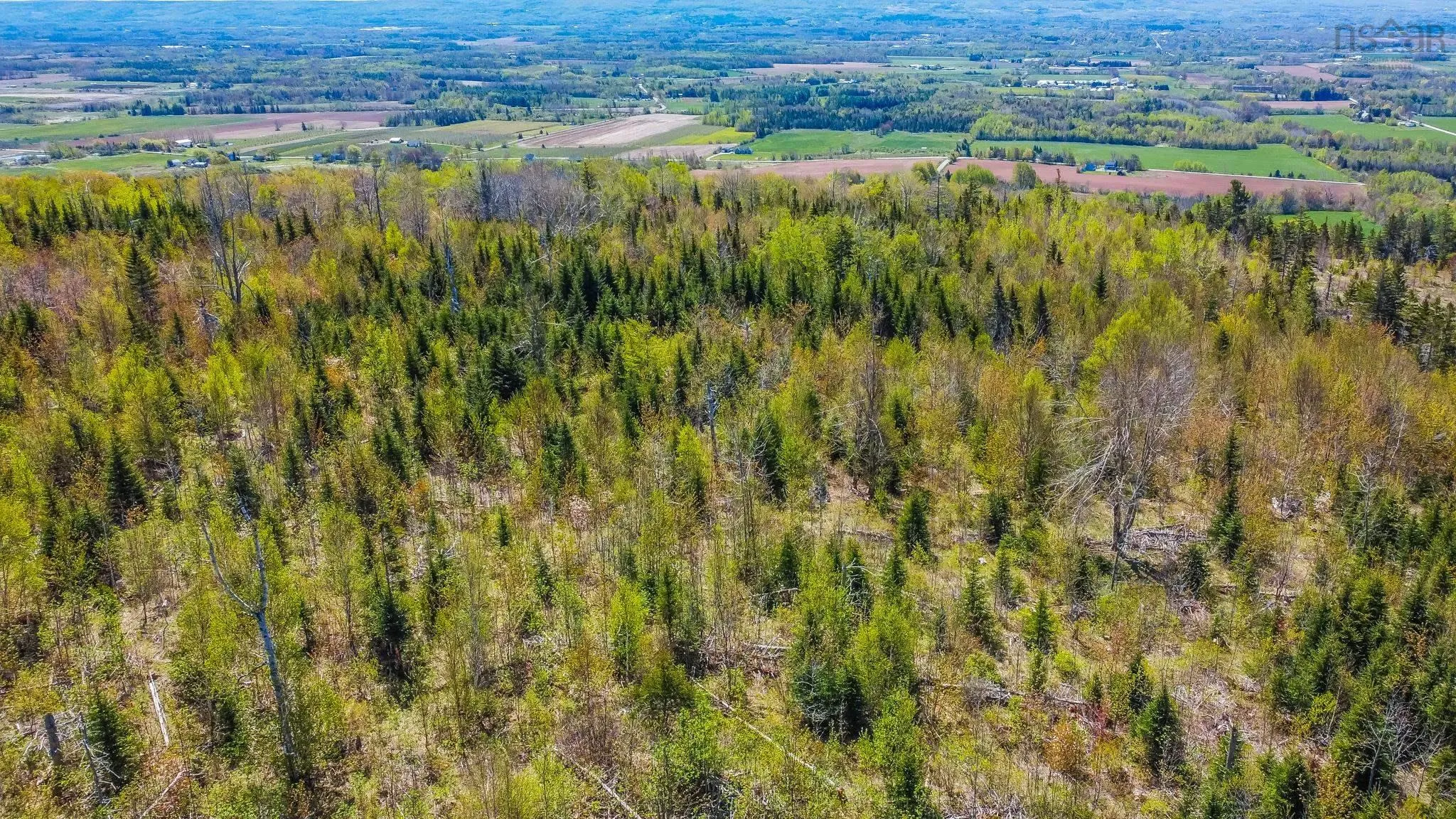 Brow Of Mountain Road Lot 1, Garland Ns B0p 1e0, ,Land,For Sale,Brow Of Mountain,202419093