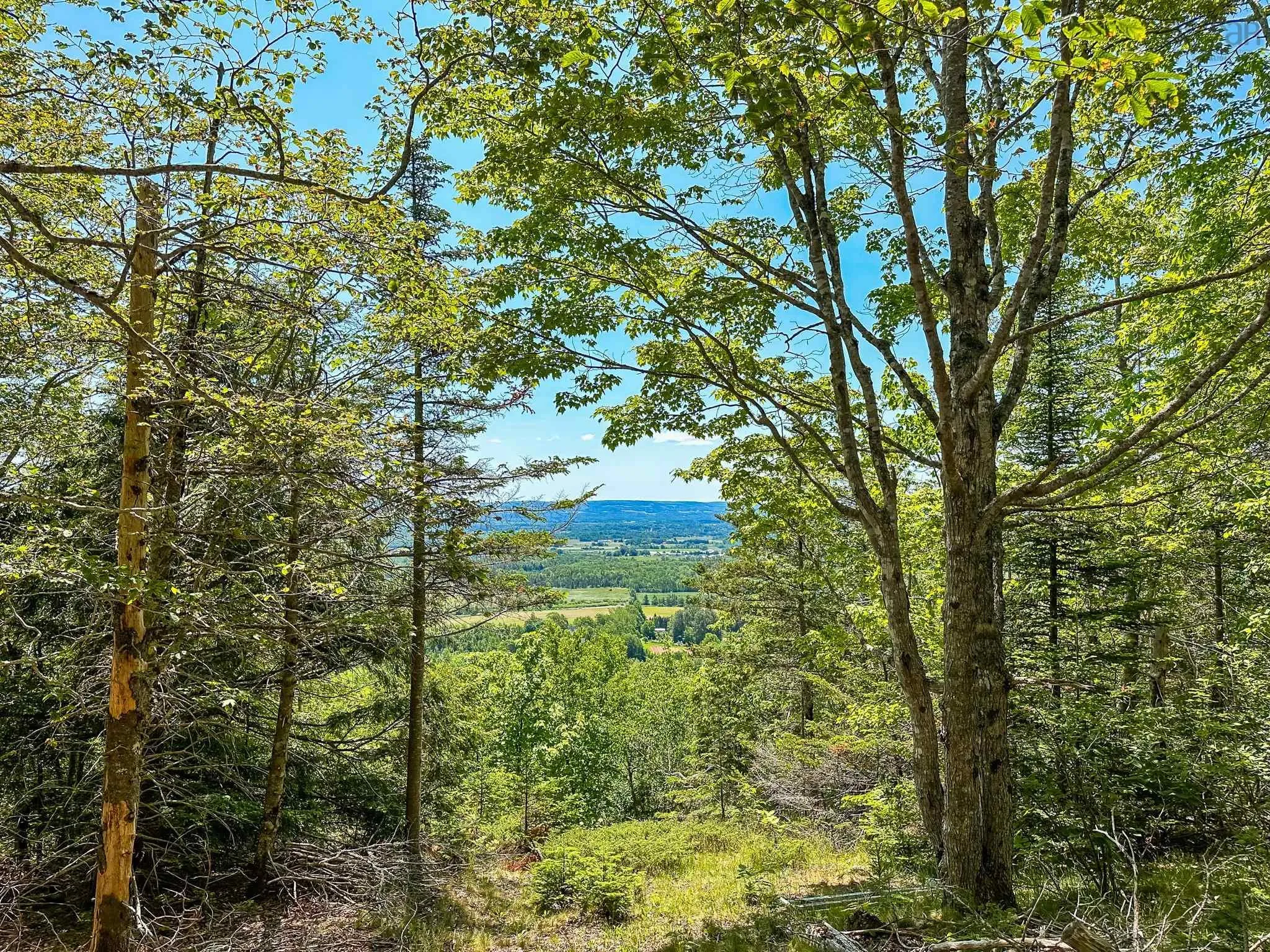 Brow Of Mountain Road Lot 1, Garland Ns B0p 1e0, ,Land,For Sale,Brow Of Mountain,202419093