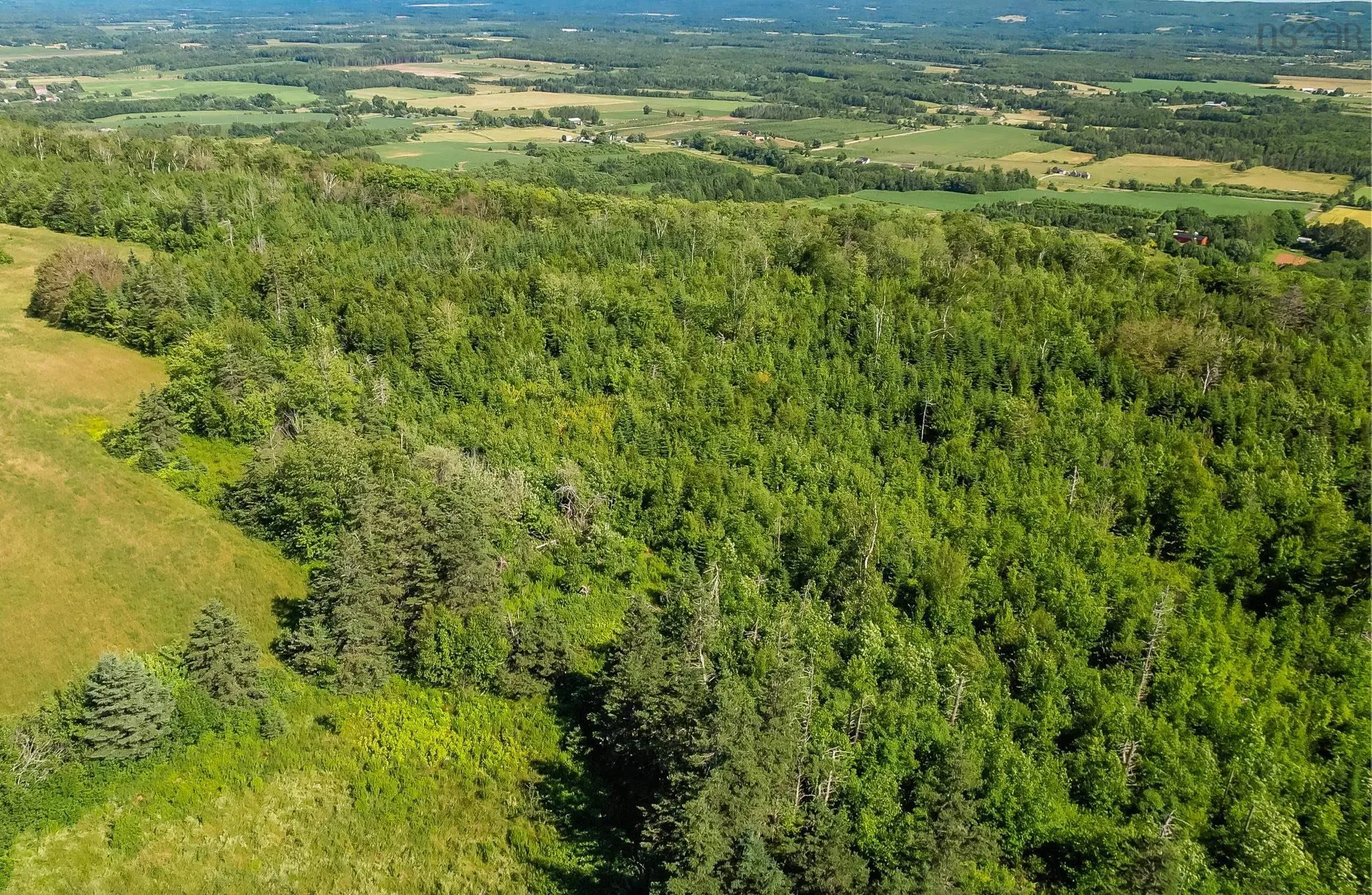 Brow Of Mountain Road Lot 1, Garland Ns B0p 1e0, ,Land,For Sale,Brow Of Mountain,202419093
