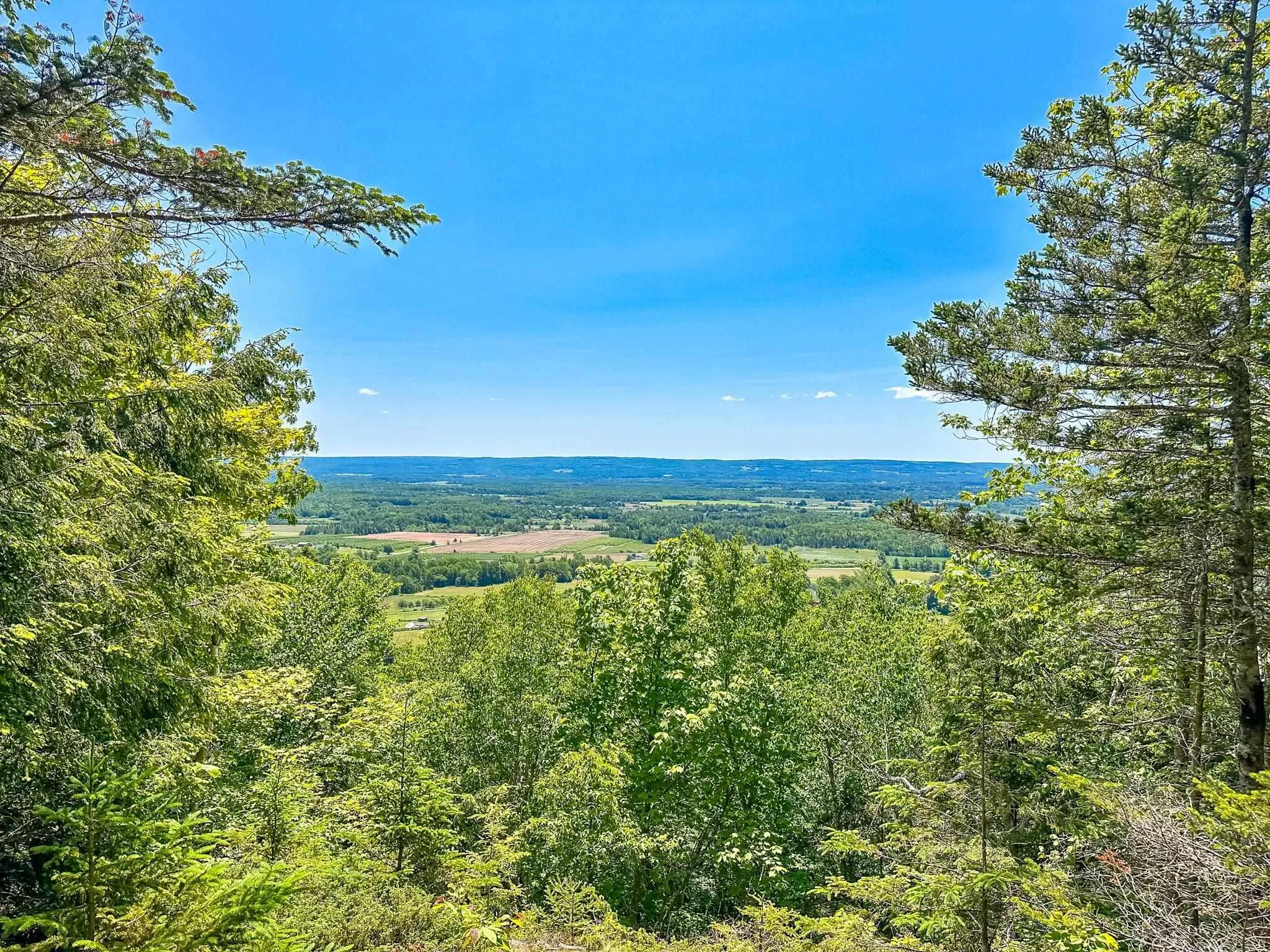 Brow Of Mountain Road Lot 1, Garland Ns B0p 1e0, ,Land,For Sale,Brow Of Mountain,202419093
