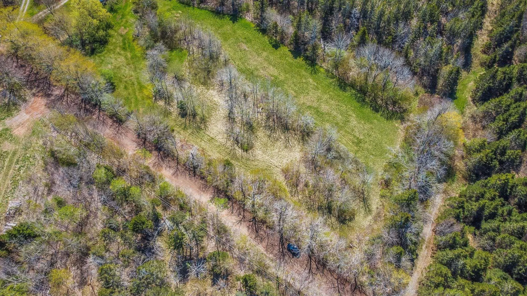 Brow Of Mountain Road Lot 1, Garland Ns B0p 1e0, ,Land,For Sale,Brow Of Mountain,202419093