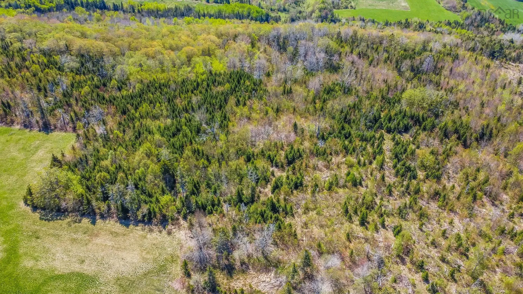 Brow Of Mountain Road Lot 1, Garland Ns B0p 1e0, ,Land,For Sale,Brow Of Mountain,202419093