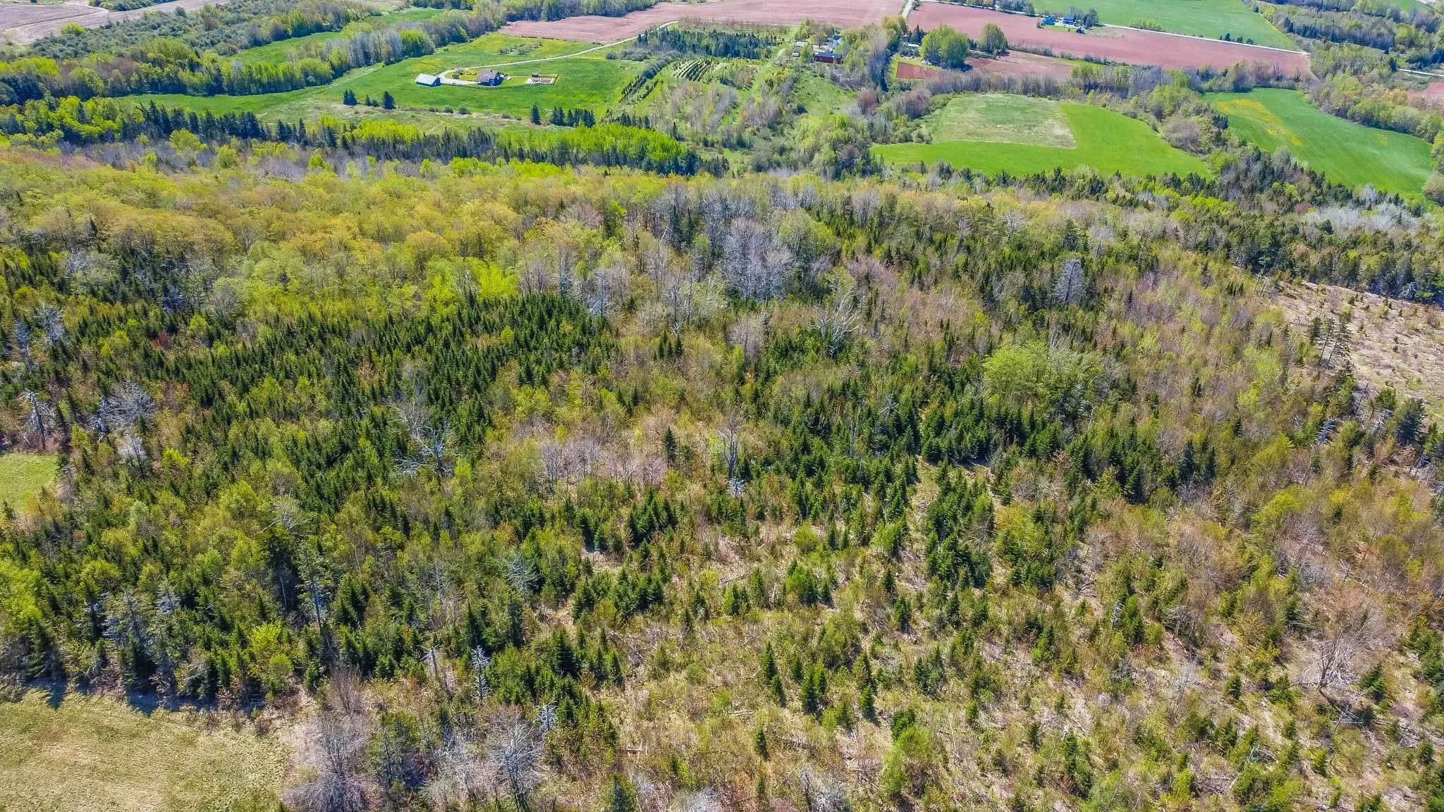 Brow Of Mountain Road Lot 1, Garland Ns B0p 1e0, ,Land,For Sale,Brow Of Mountain,202419093