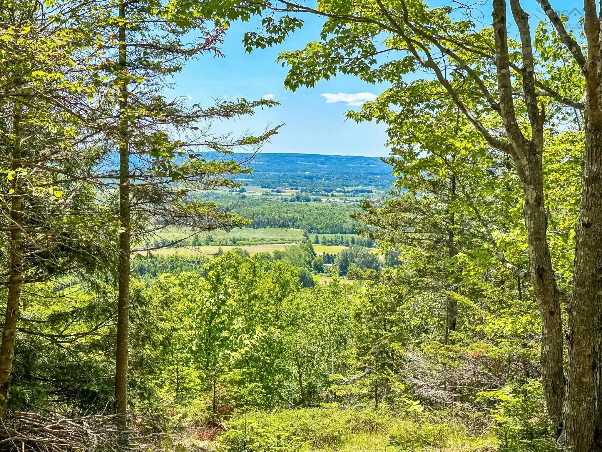 Brow Of Mountain Road Lot 1, Garland Ns B0p 1e0, ,Land,For Sale,Brow Of Mountain,202419093