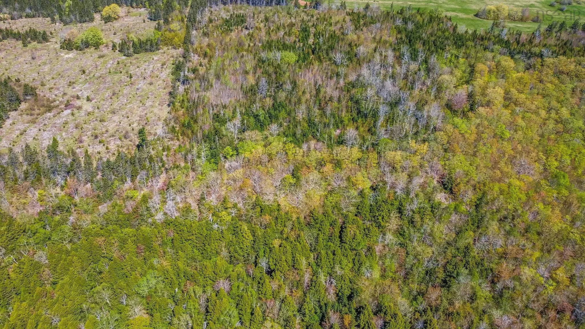 Brow Of Mountain Road Lot 1, Garland Ns B0p 1e0, ,Land,For Sale,Brow Of Mountain,202419093