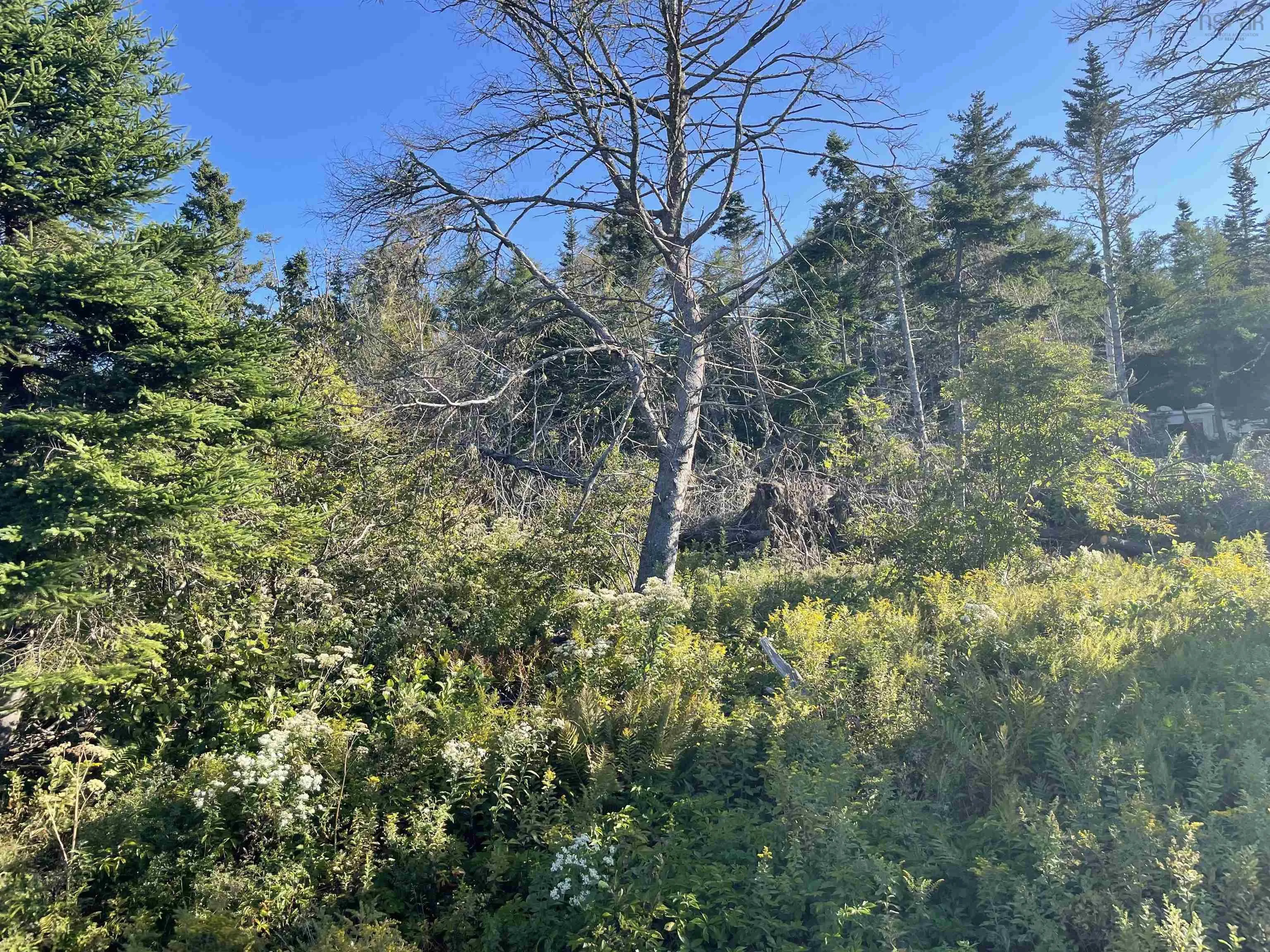 151 Crooked Lake Road, Framboise Ns B2j 1c4, ,Land,For Sale,Crooked Lake,202422695