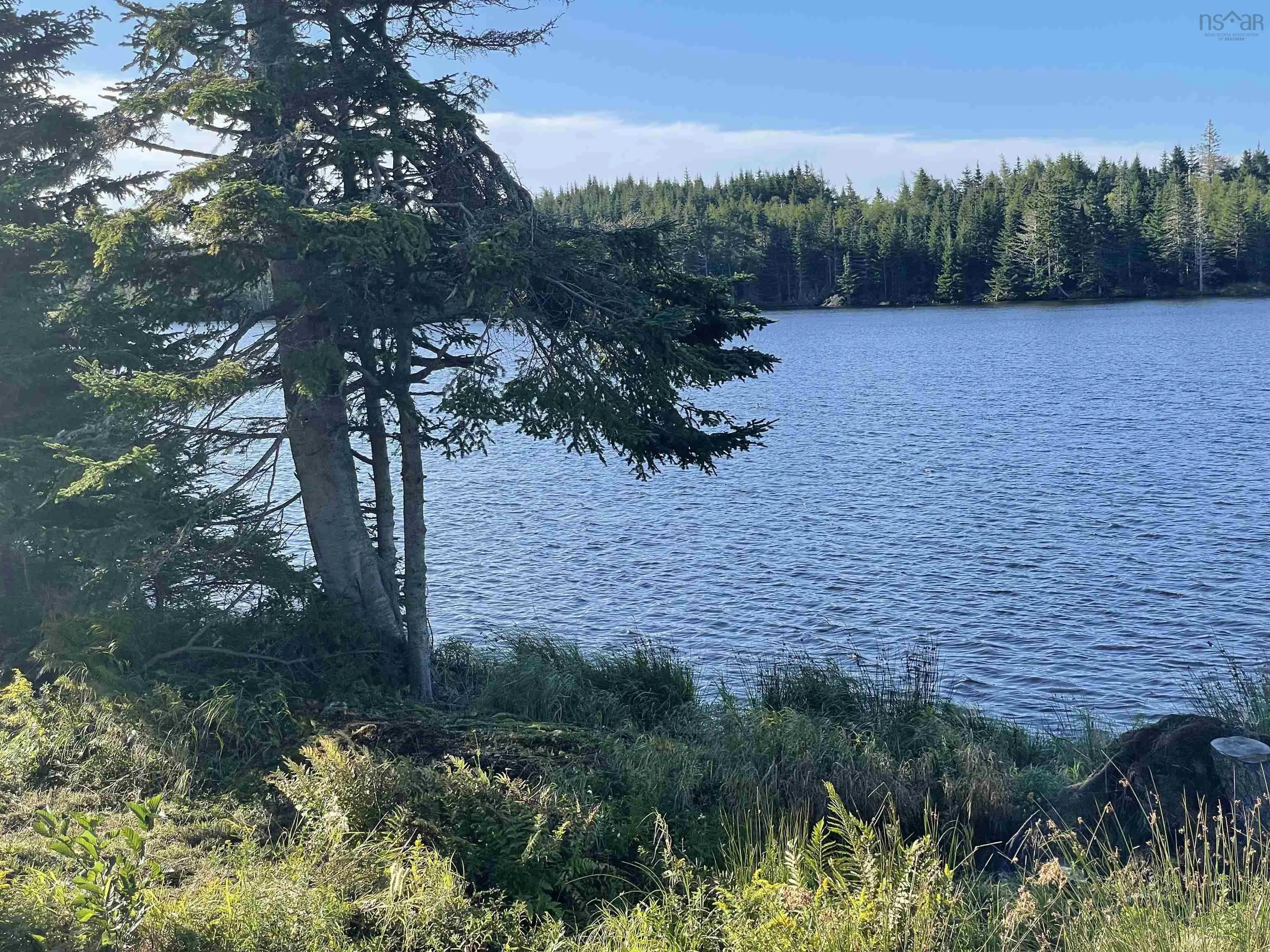 151 Crooked Lake Road, Framboise Ns B2j 1c4, ,Land,For Sale,Crooked Lake,202422695