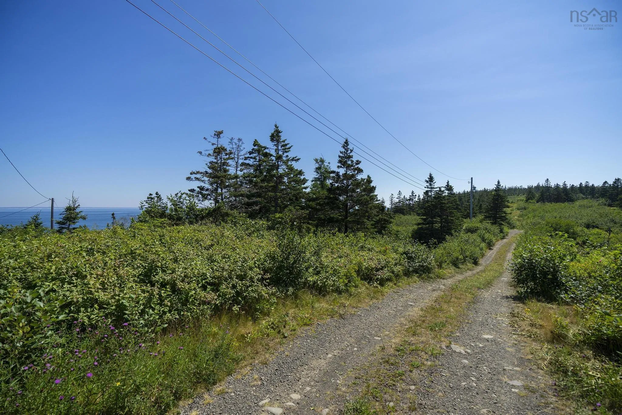 Lot 1 South View Drive, Freeport, NS B0V 1B0, ,Land,For Sale,South View,202519120