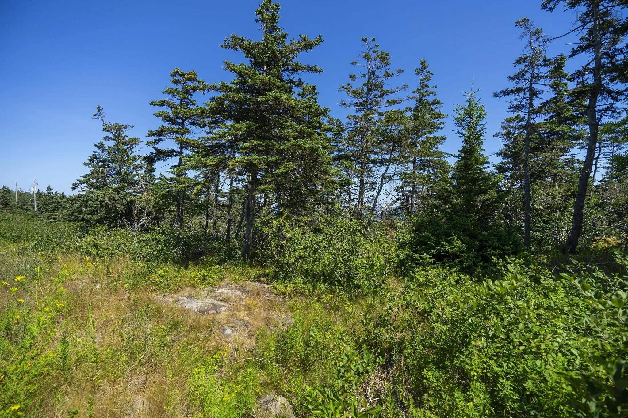Lot 1 South View Drive, Freeport, NS B0V 1B0, ,Land,For Sale,South View,202519120