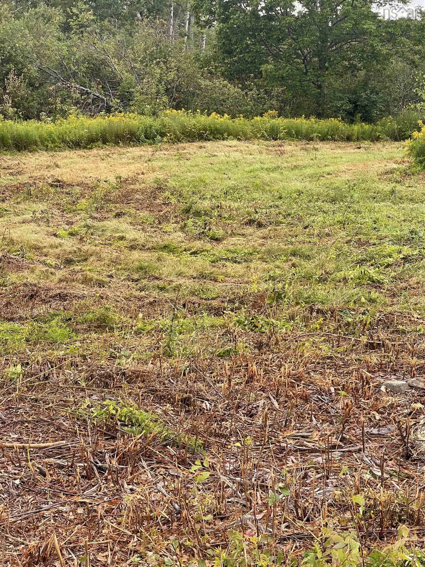 3 Neptune Lane, Ponds Ns B0k 1g0, ,Land,For Sale,Neptune,202420029