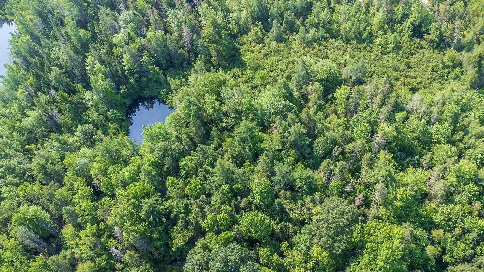 Highway 14, Windsor Forks Ns B0n 2t0, ,Land,For Sale,Highway 14,202502299