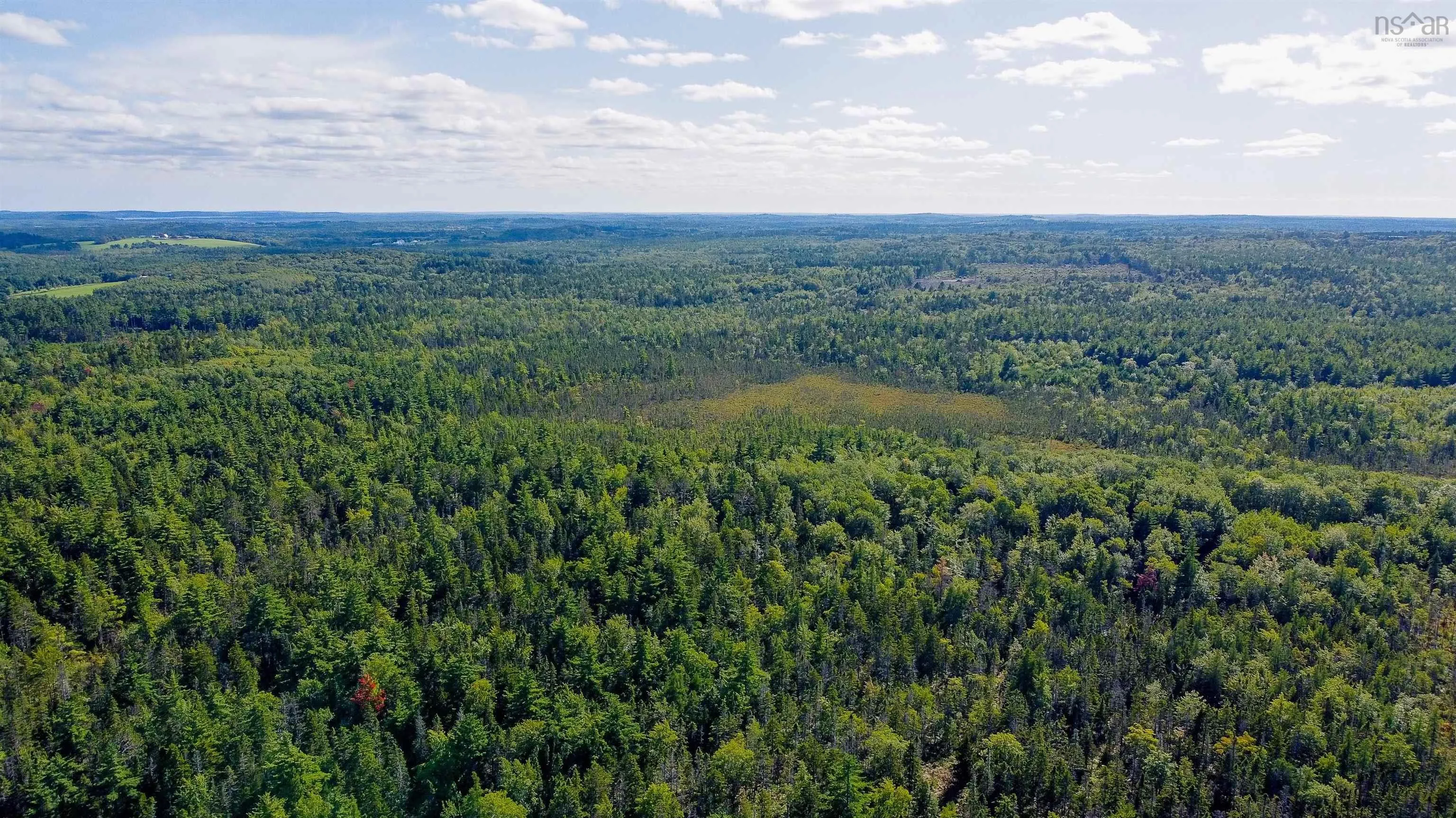 Upper Branch Pid# 60475175 Road, Auburndale Ns B4v 3p5, ,Land,For Sale,(Pid 60475175) Upper Branch,202421590