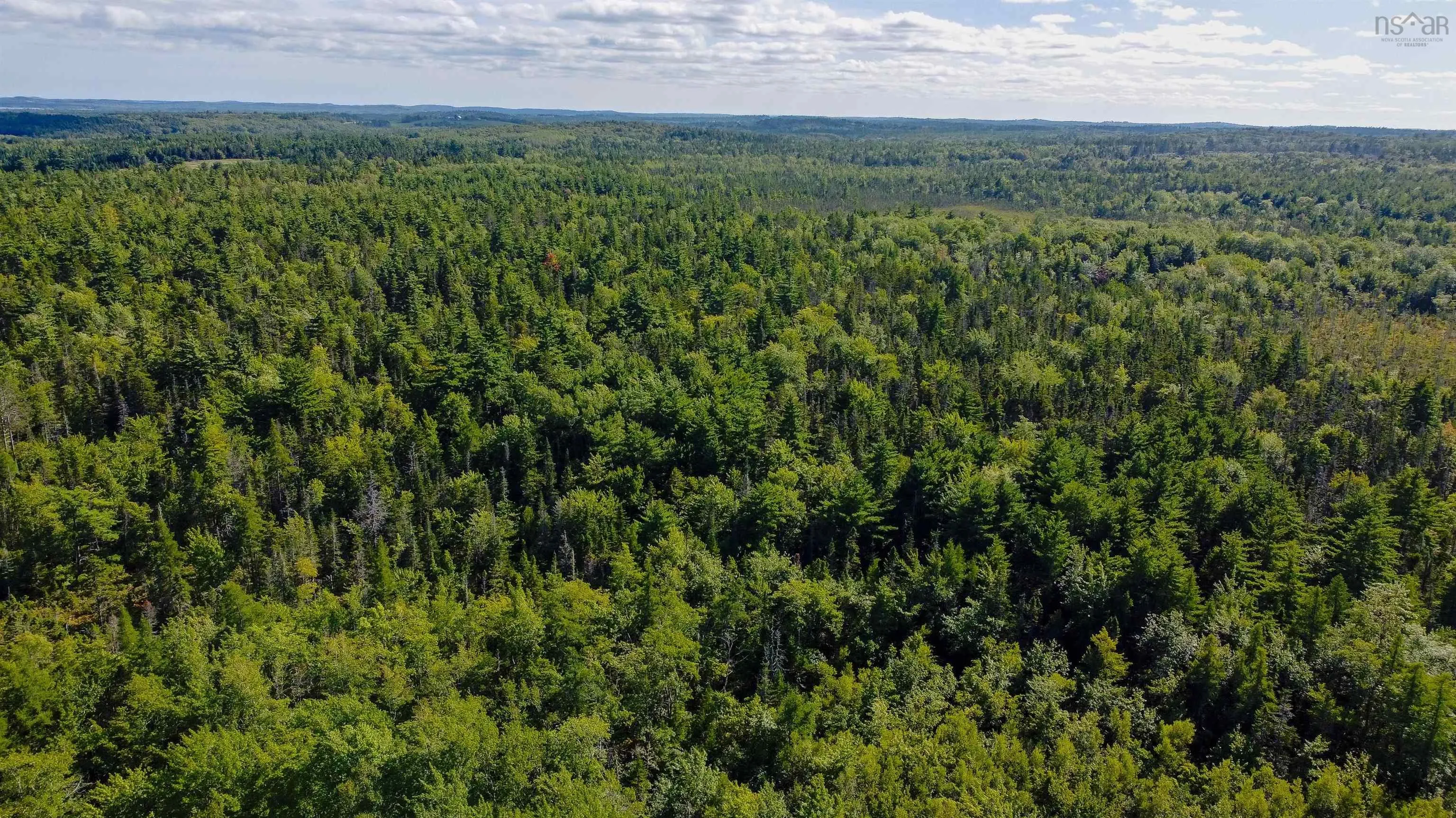 Upper Branch Pid# 60475175 Road, Auburndale Ns B4v 3p5, ,Land,For Sale,(Pid 60475175) Upper Branch,202421590