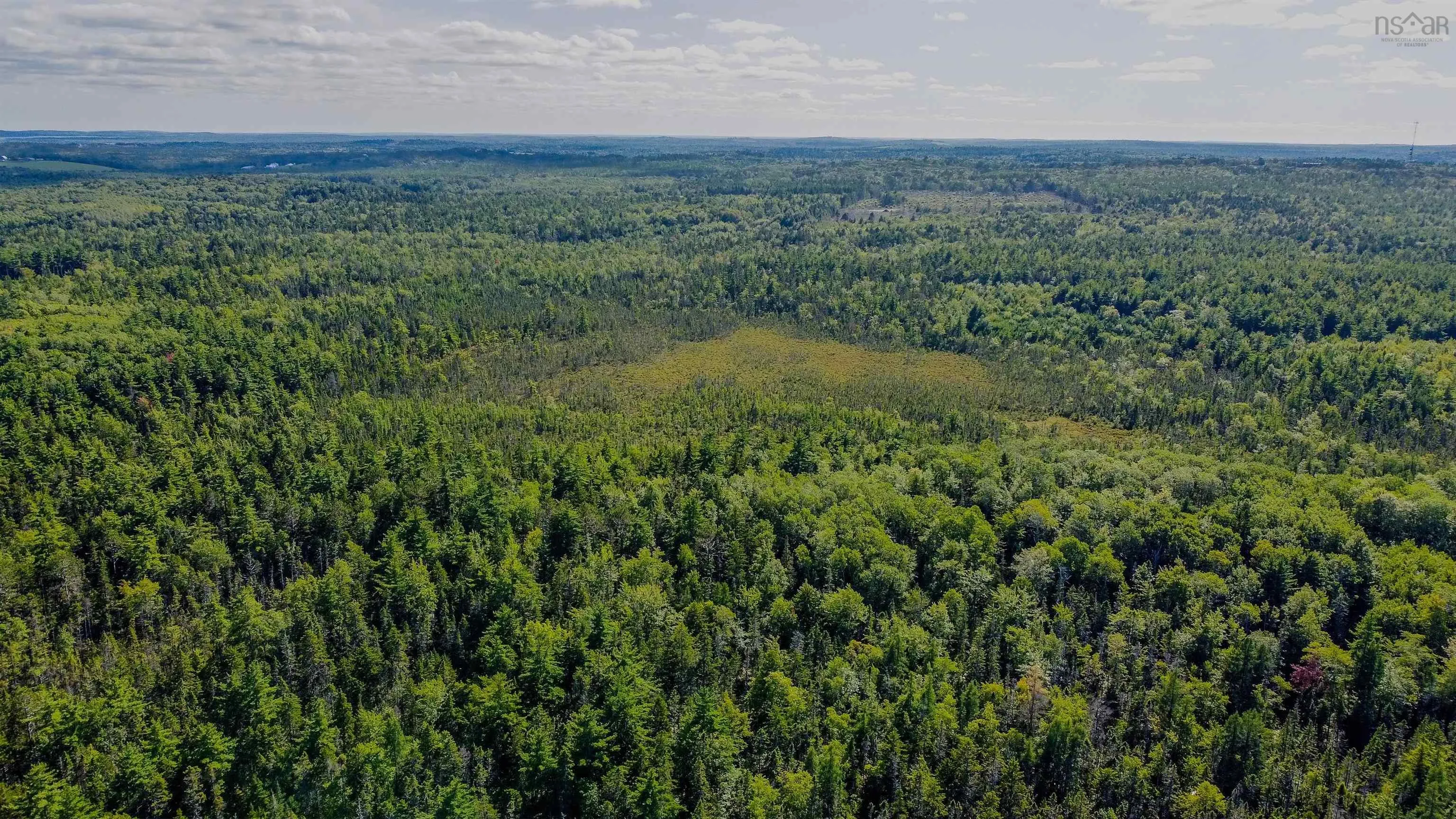 Upper Branch Pid# 60475175 Road, Auburndale Ns B4v 3p5, ,Land,For Sale,(Pid 60475175) Upper Branch,202421590