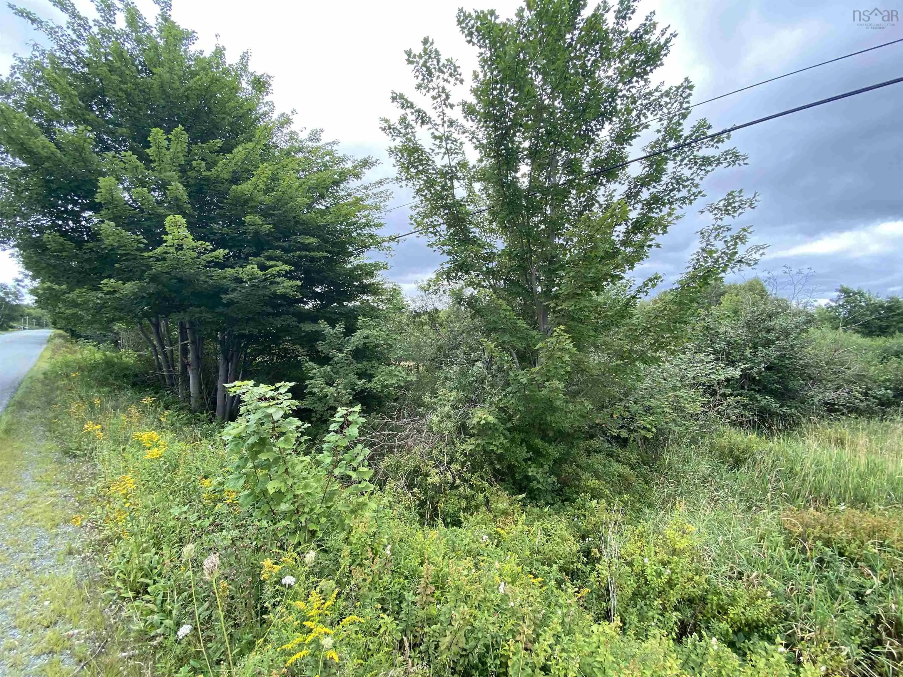 Upper Branch Pid# 60475175 Road, Auburndale Ns B4v 3p5, ,Land,For Sale,(Pid 60475175) Upper Branch,202421590