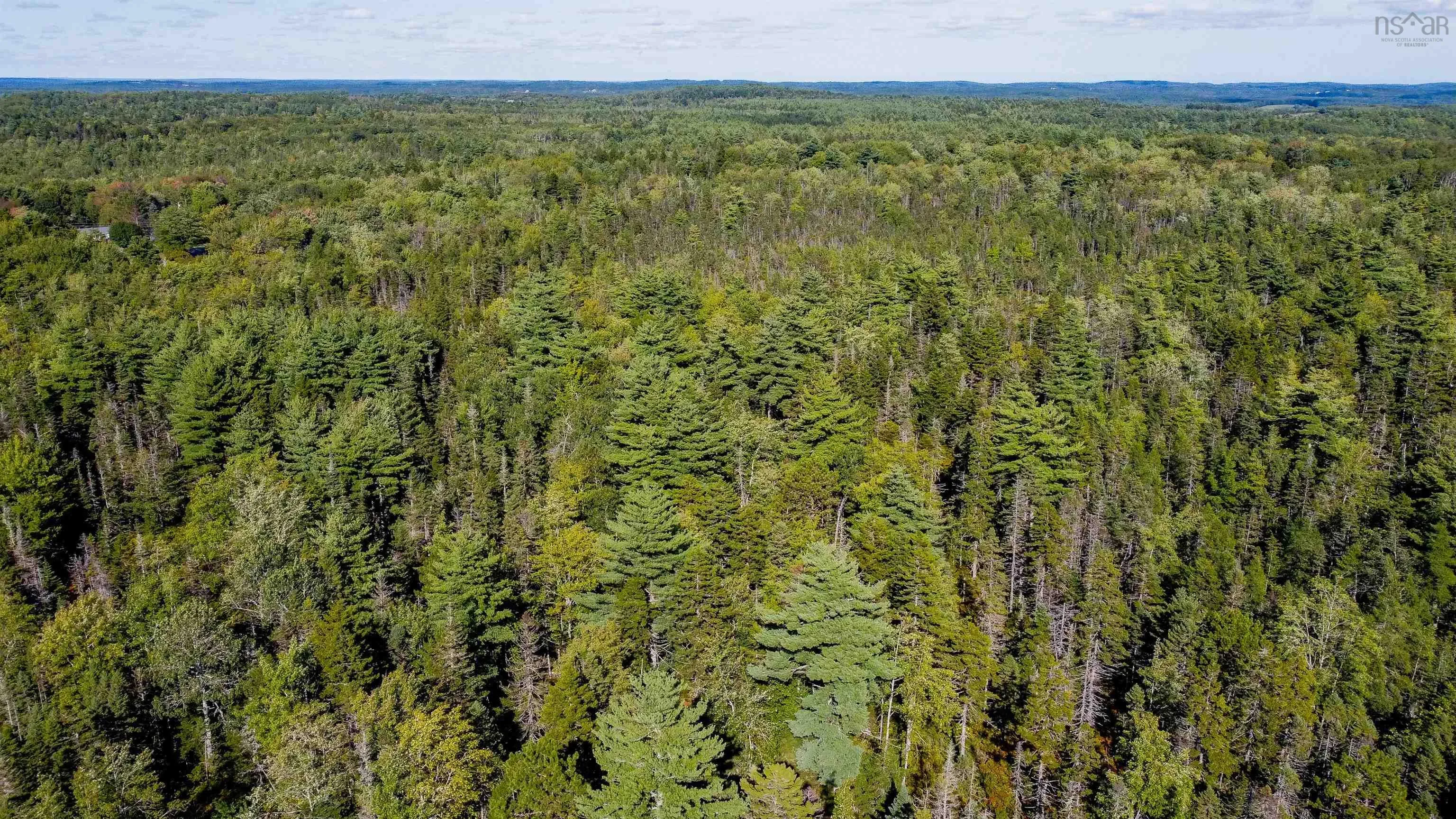 Upper Branch Pid# 60475175 Road, Auburndale Ns B4v 3p5, ,Land,For Sale,(Pid 60475175) Upper Branch,202421590
