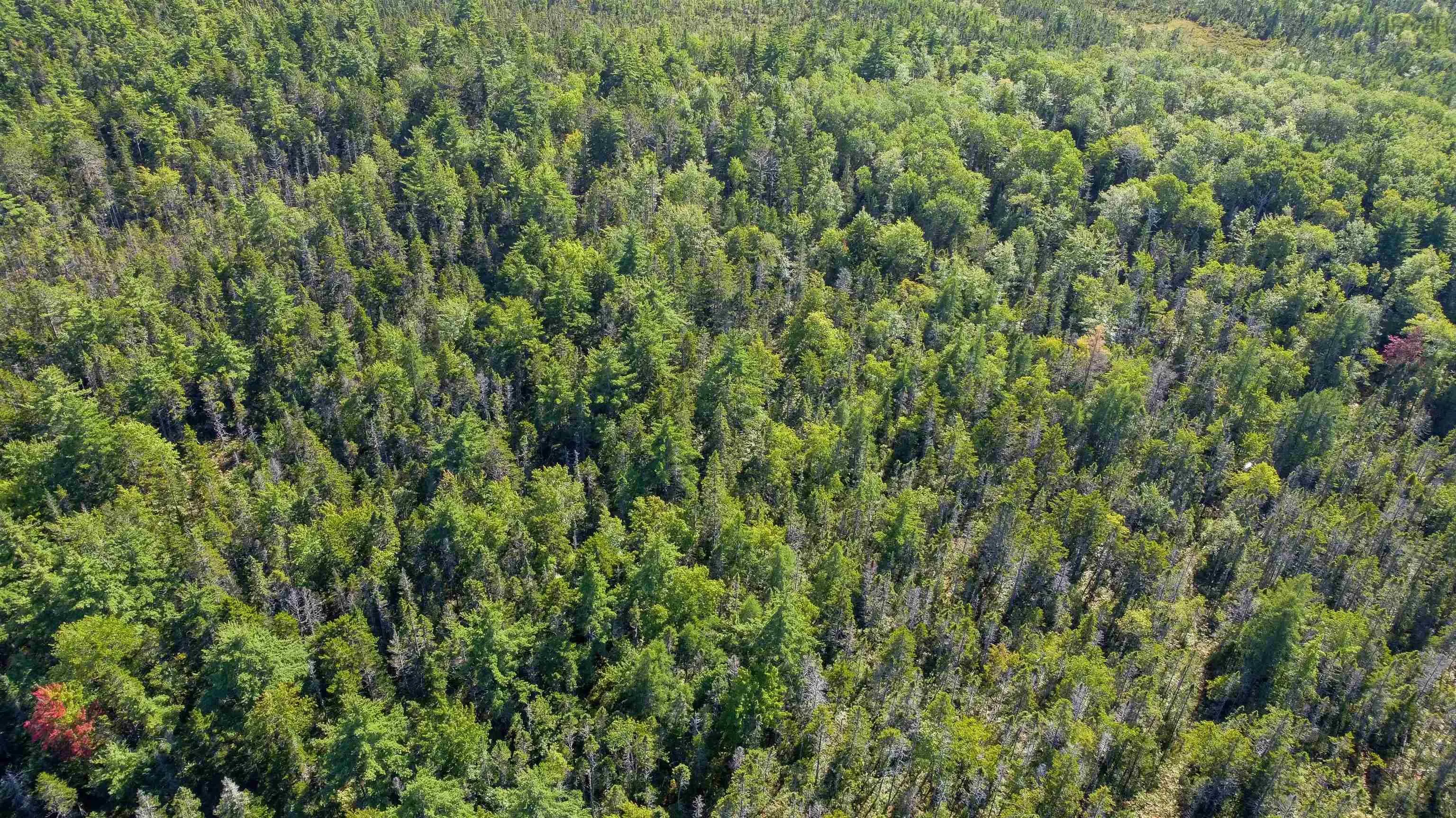Upper Branch Pid# 60475175 Road, Auburndale Ns B4v 3p5, ,Land,For Sale,(Pid 60475175) Upper Branch,202421590