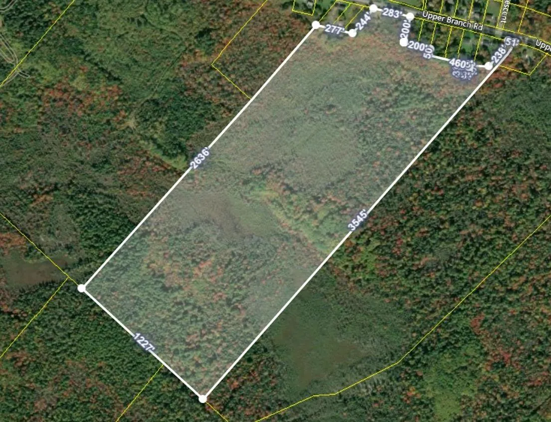 Upper Branch Pid# 60475175 Road, Auburndale Ns B4v 3p5, ,Land,For Sale,(Pid 60475175) Upper Branch,202421590