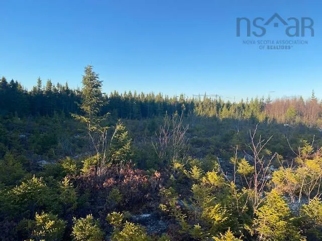 Lot 6 Mailman Branch Road, Little Liscomb Ns B0k 1j0, ,Land,For Sale,Mailman Branch,202509328