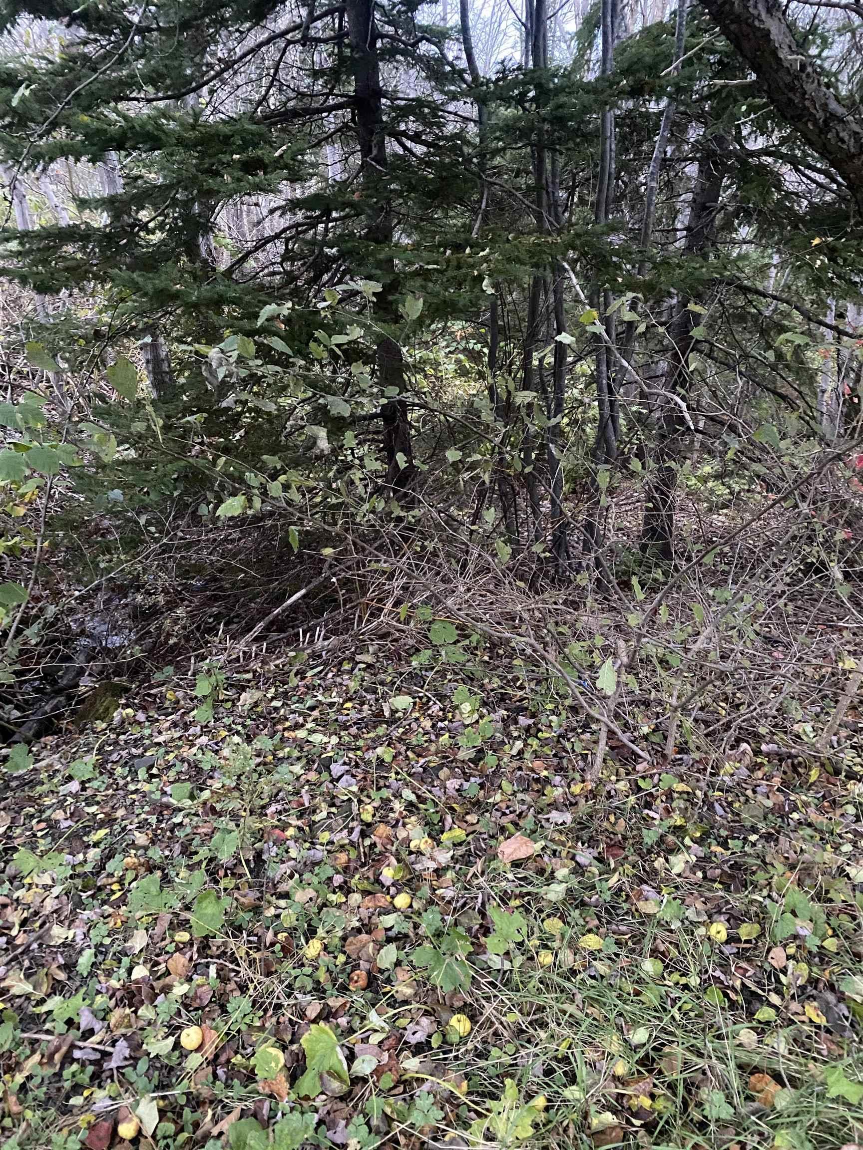 Mapleview Drive, North Sydney NS B2A 3K3, ,Land,For Sale,Mapleview Drive,202324530