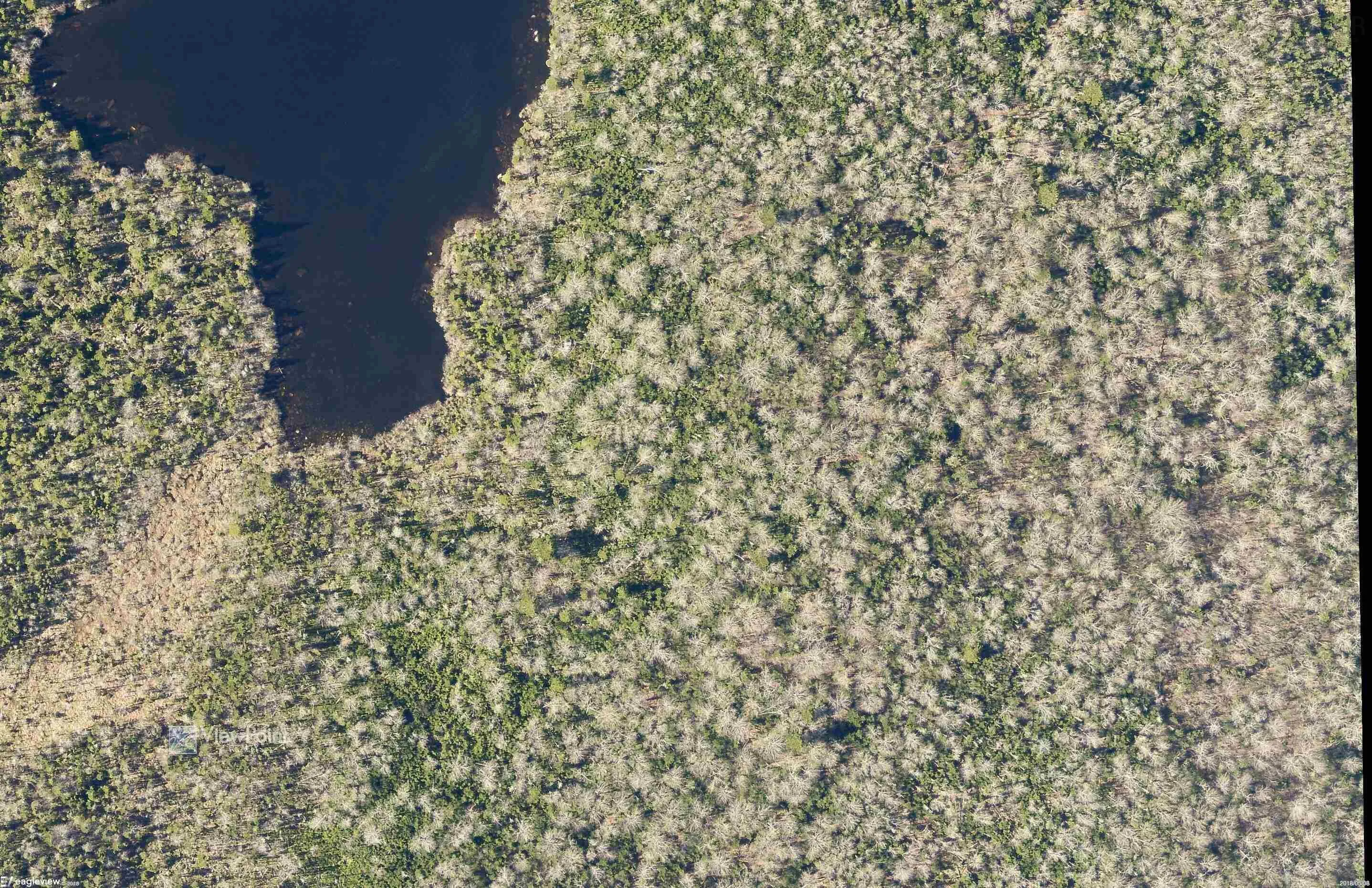 23339 Bennet Lake, Harrietsfield, NS B3V 1B7, ,Land,For Sale,Bennet Lake,202519371