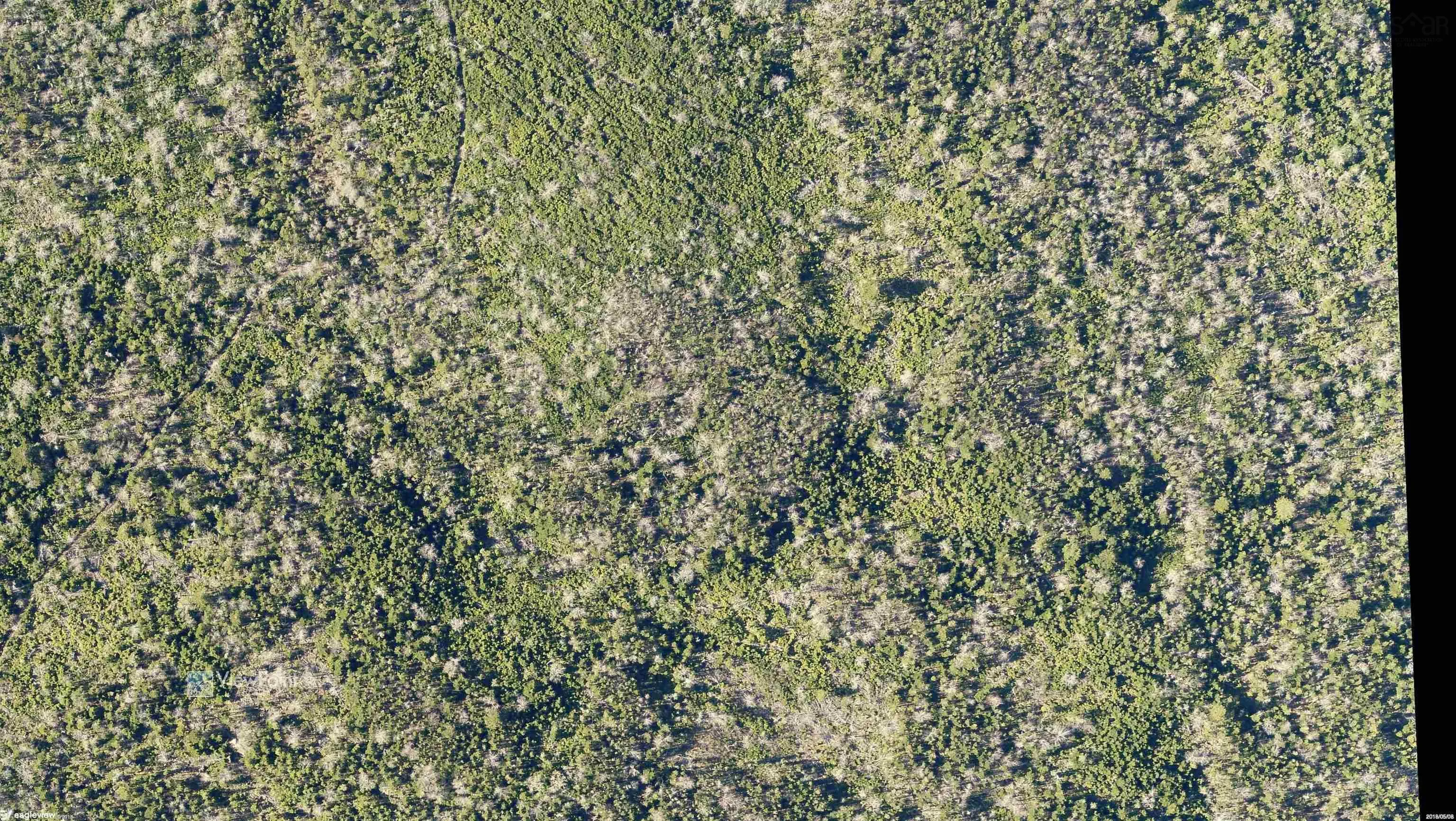 23339 Bennet Lake, Harrietsfield, NS B3V 1B7, ,Land,For Sale,Bennet Lake,202519371