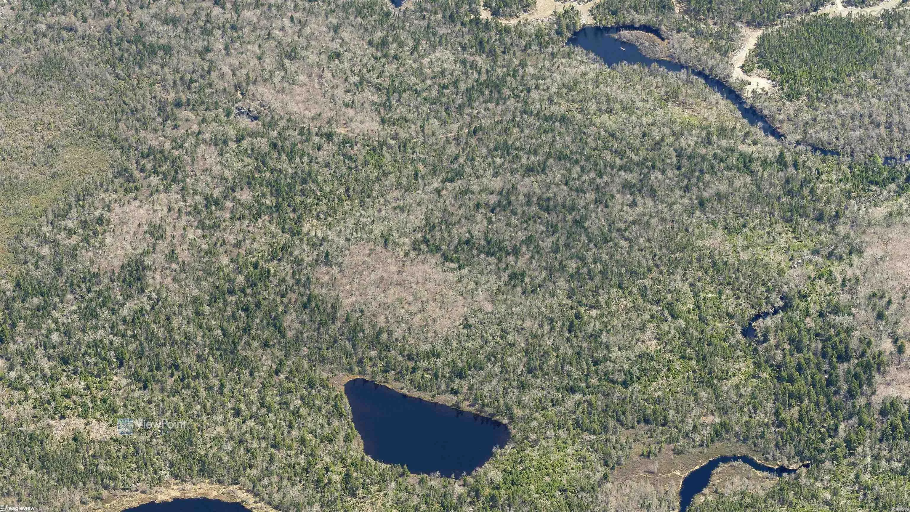 23339 Bennet Lake, Harrietsfield, NS B3V 1B7, ,Land,For Sale,Bennet Lake,202519371