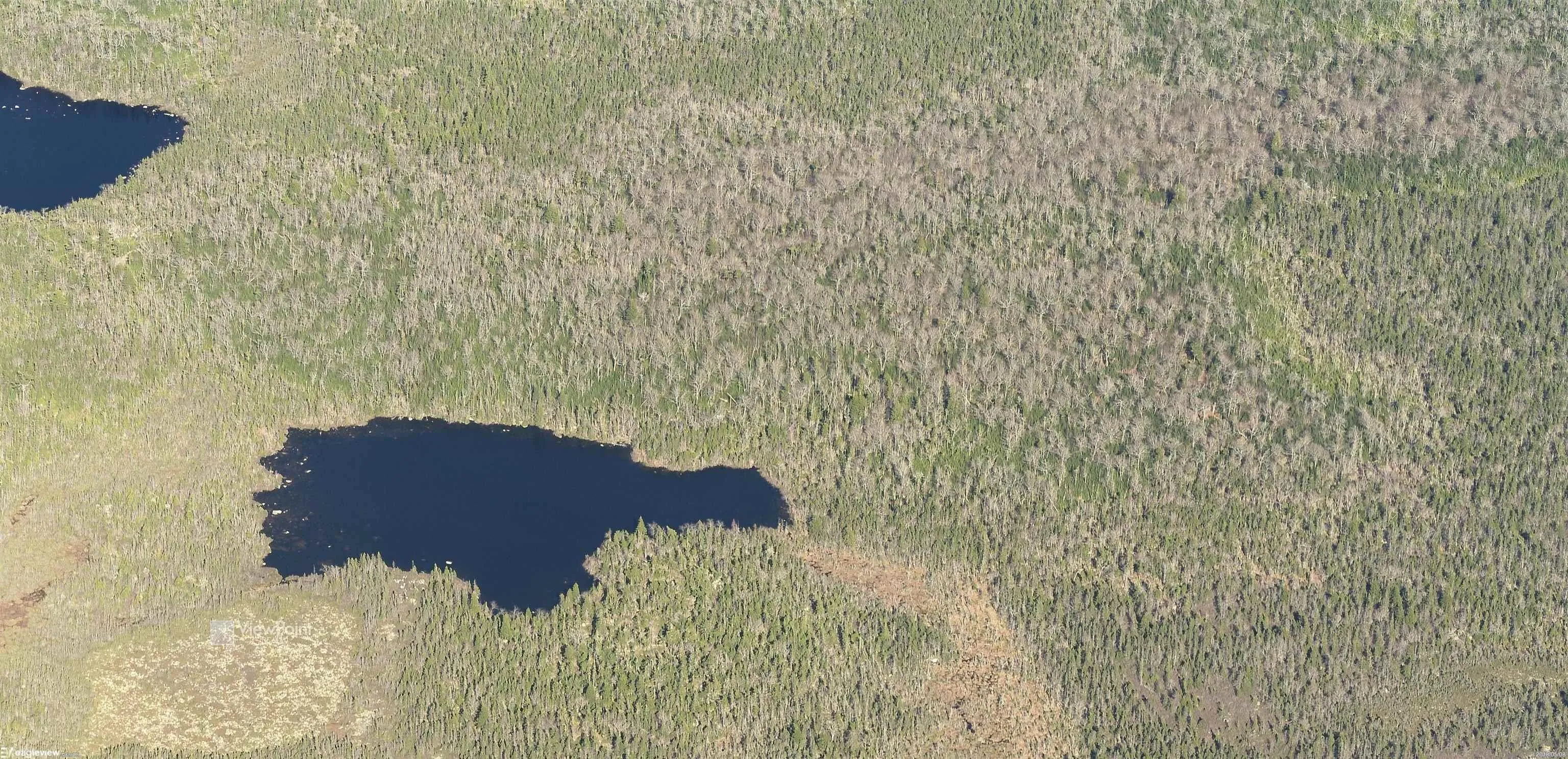 23339 Bennet Lake, Harrietsfield, NS B3V 1B7, ,Land,For Sale,Bennet Lake,202519371
