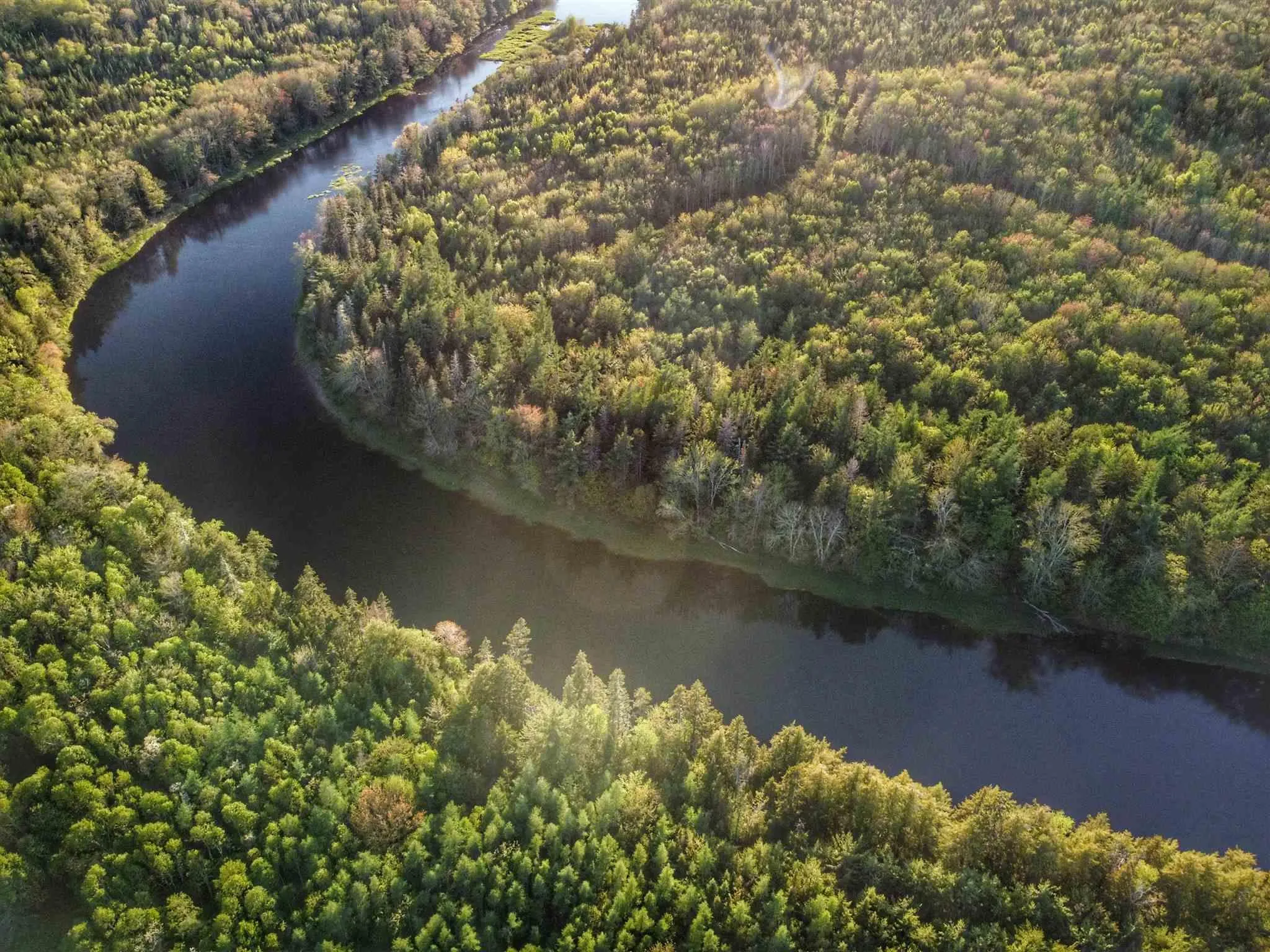 Lot 8 348 Highway, Lower Caledonia Ns B0h 1e0, ,Land,For Sale,348,202509829