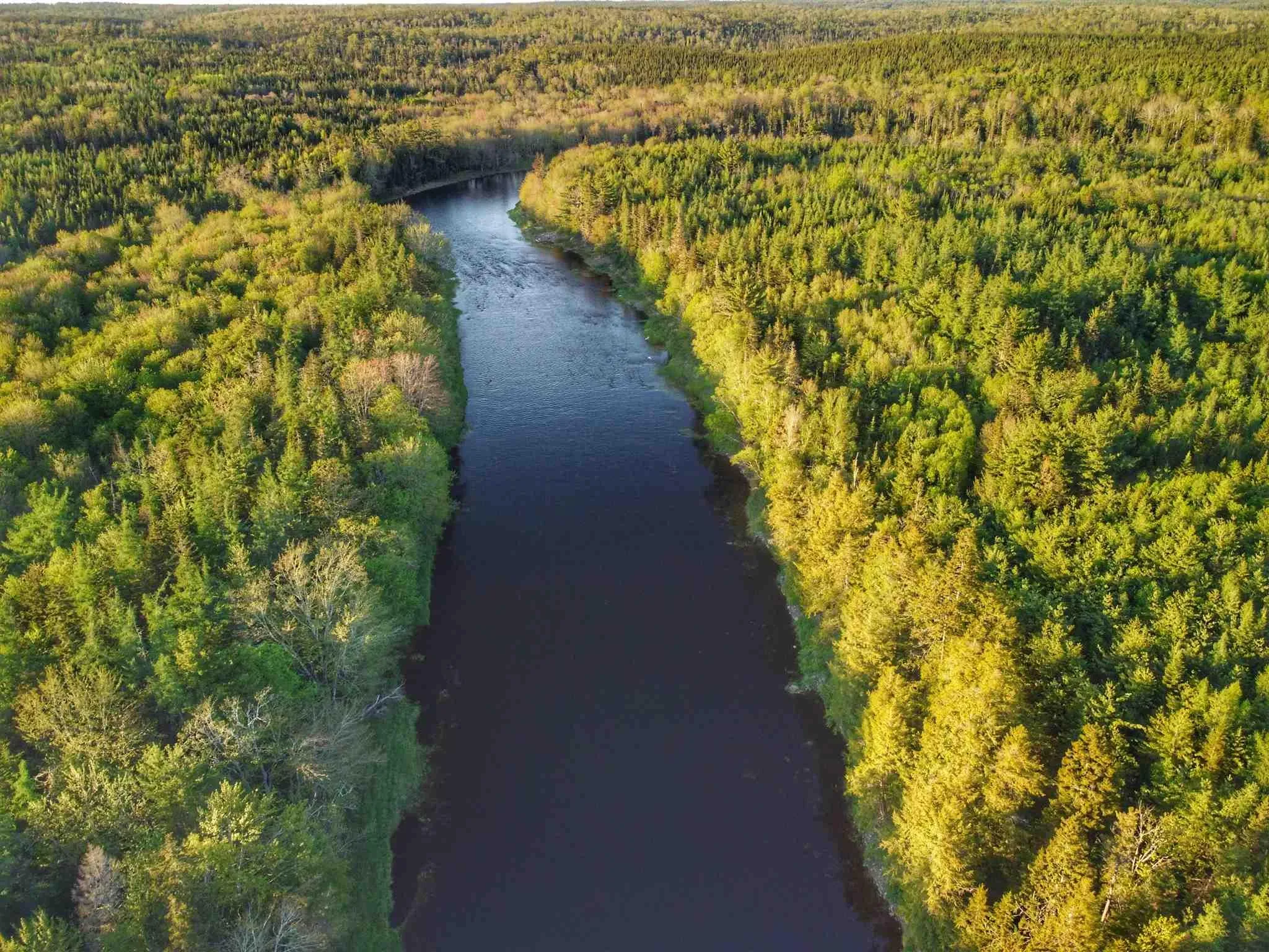 Lot 8 348 Highway, Lower Caledonia Ns B0h 1e0, ,Land,For Sale,348,202509829