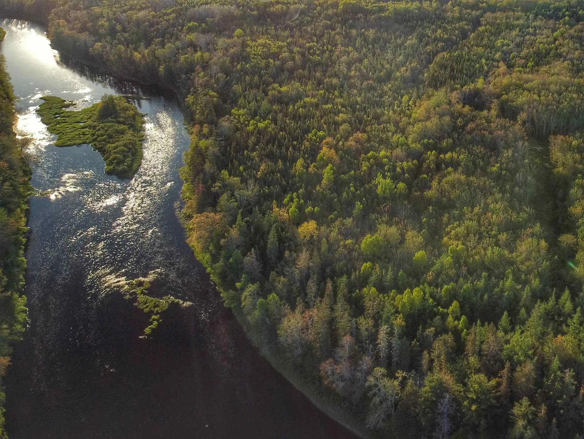 Lot 8 348 Highway, Lower Caledonia Ns B0h 1e0, ,Land,For Sale,348,202509829