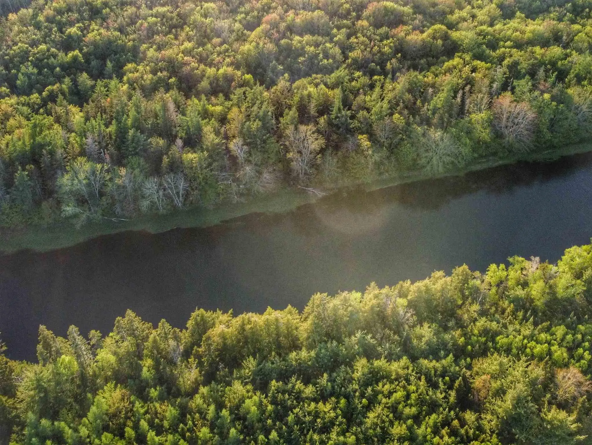 Lot 8 348 Highway, Lower Caledonia Ns B0h 1e0, ,Land,For Sale,348,202509829