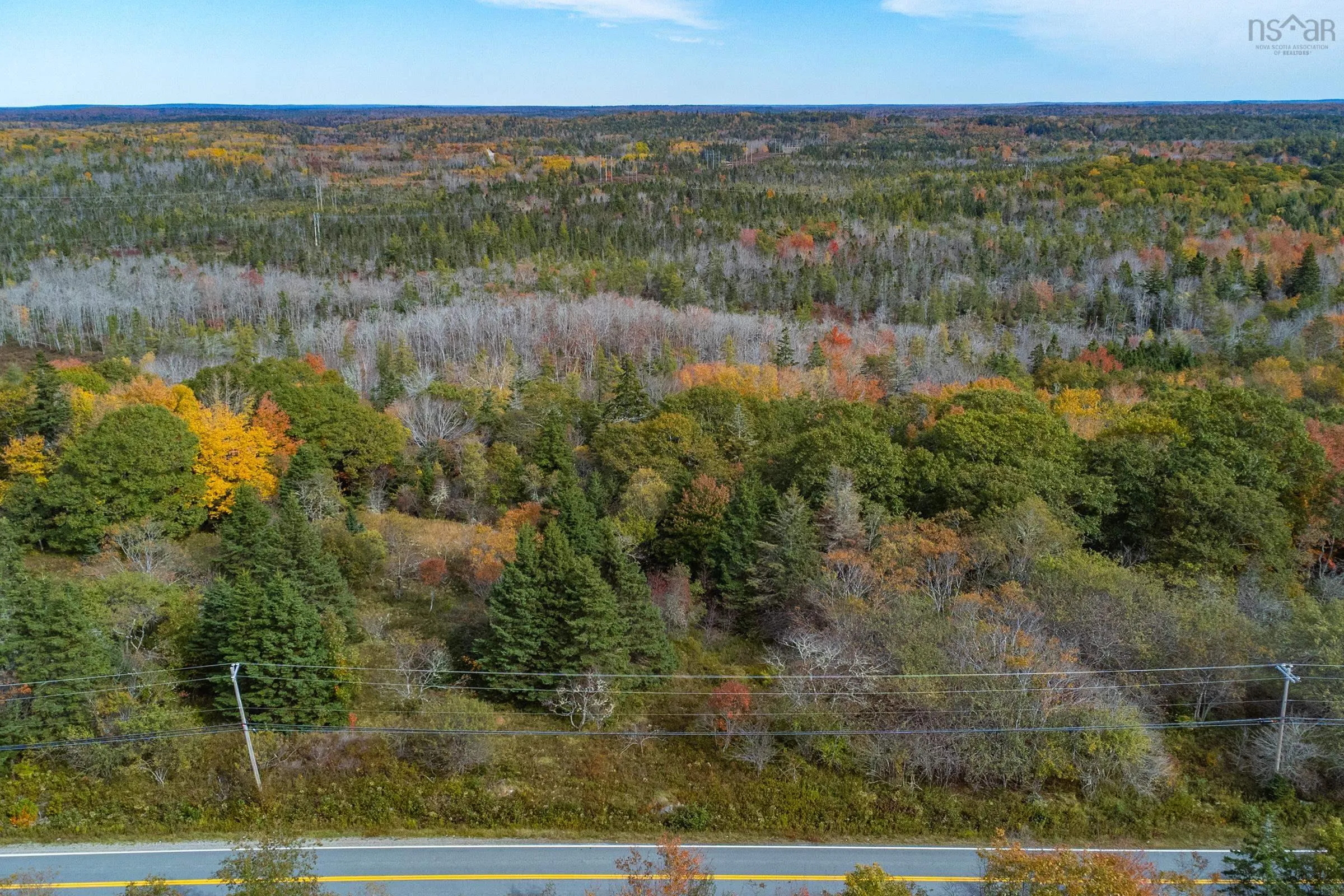 Highway 308, Belleville Ns B0w 3m0, ,Land,For Sale,Highway 308,202425253