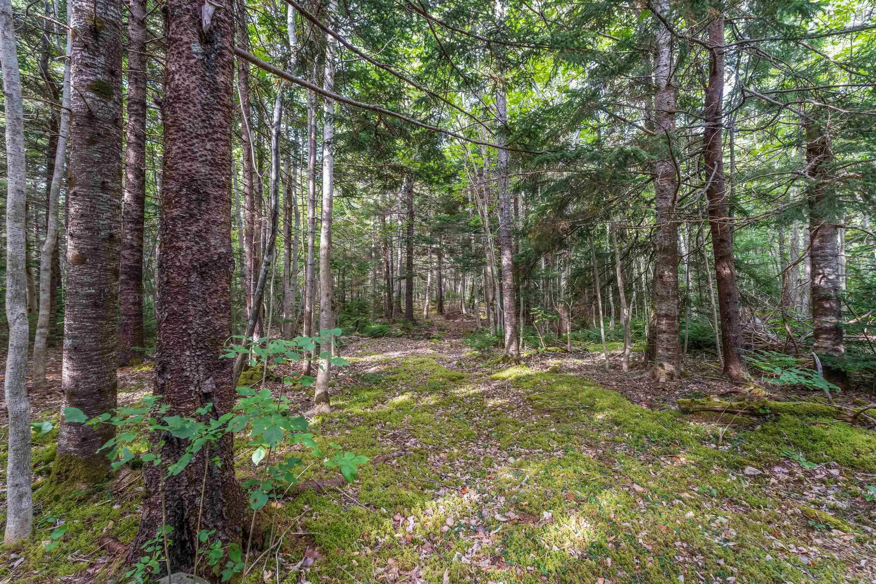 155 Old North Range Road, Plympton Station, NS B0W 2R0, 2 Bedrooms Bedrooms, ,1 BathroomBathrooms,Residential,For Sale,Old North Range,202521345