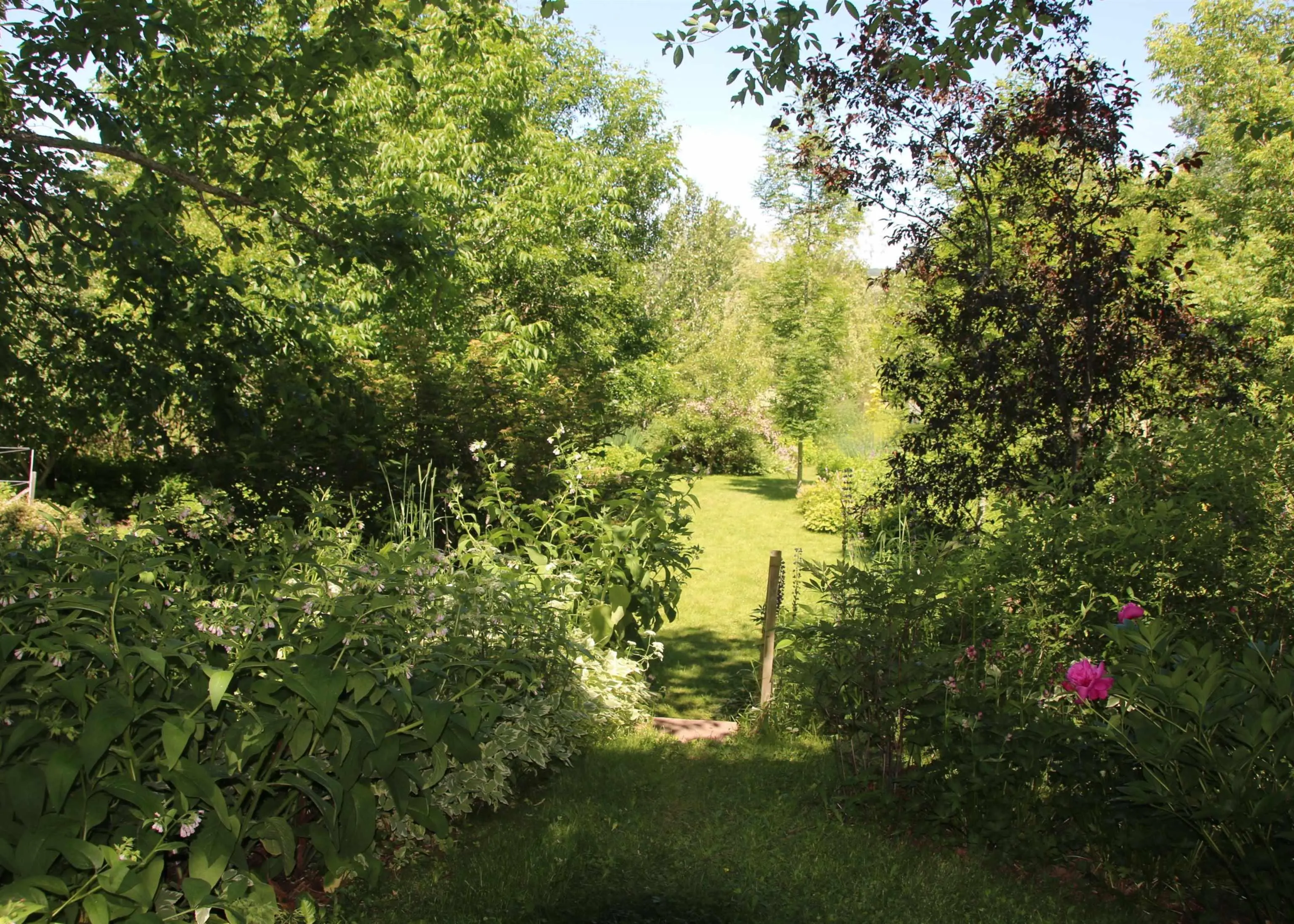 138 Main Street, Stewiacke Ns B0n 2j0, 4 Bedrooms Bedrooms, ,4 BathroomsBathrooms,Residential,For Sale,Main,202510364