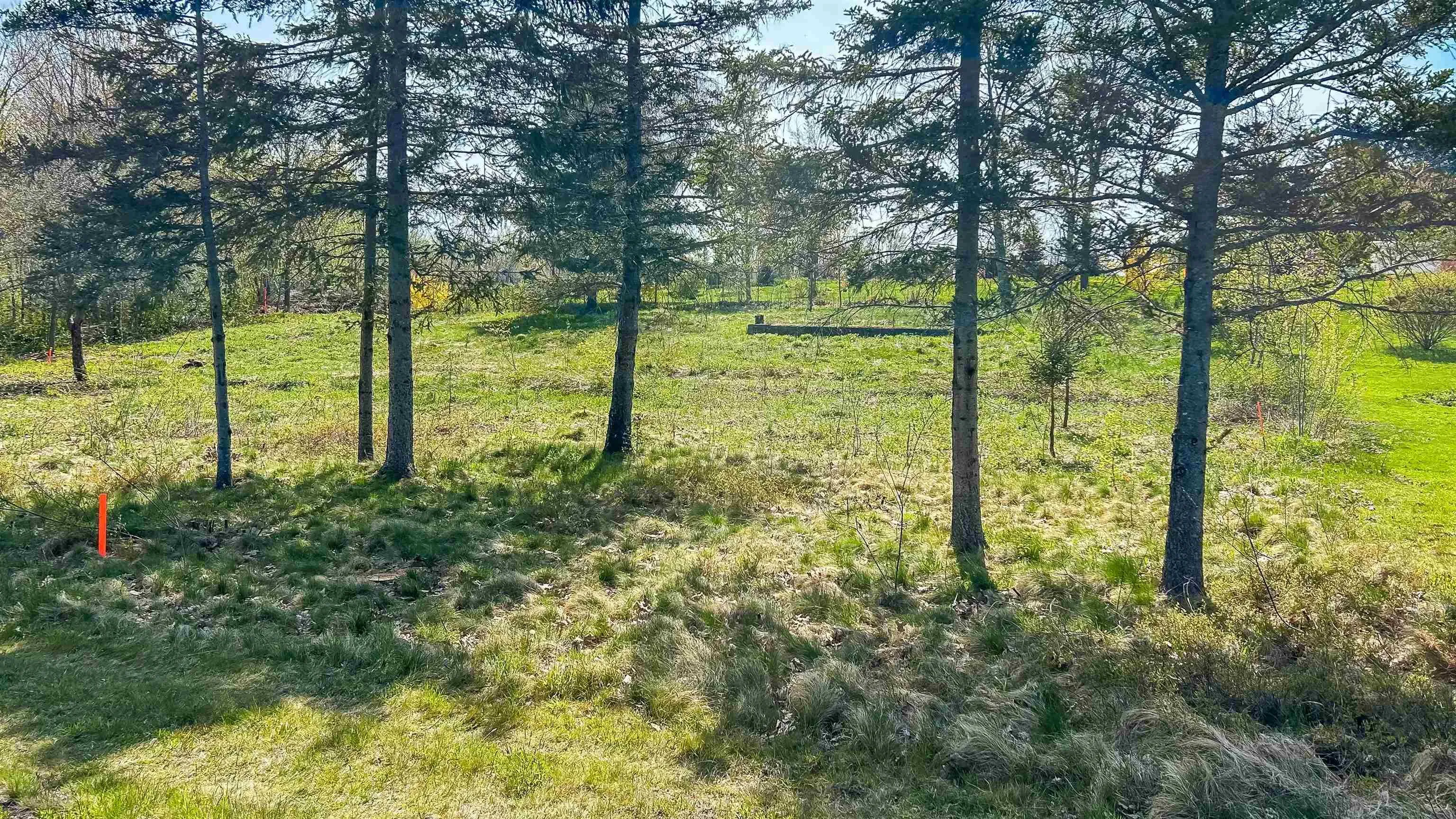 No 360 Highway, Somerset, NS B0P 1E0, ,Land,For Sale,No 360,202513362