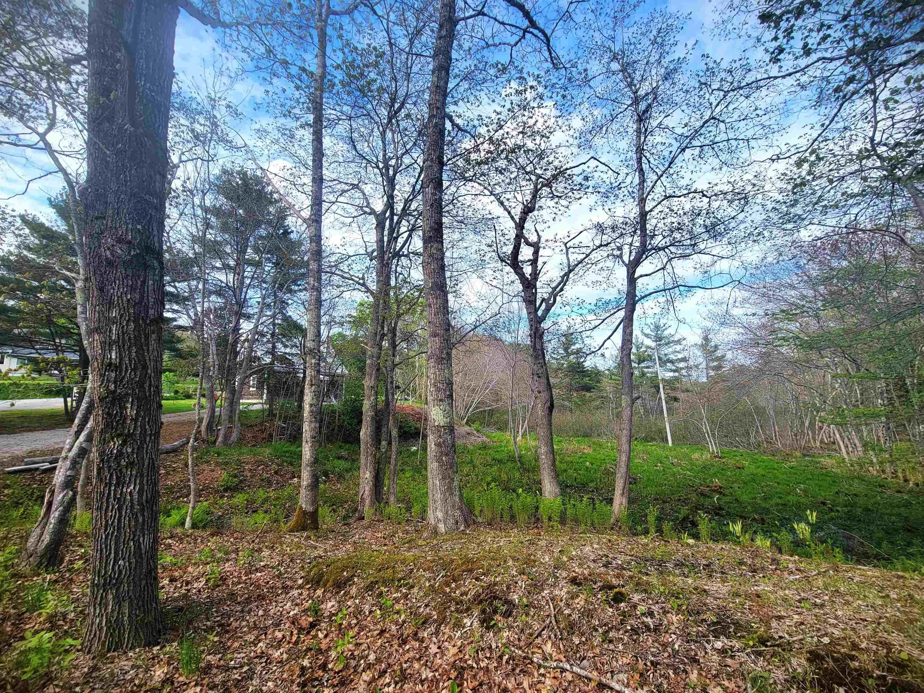 8471 Highway 3, Oakland Ns B0j 2e0, ,Commercial Sale,For Sale,Highway 3,202404061
