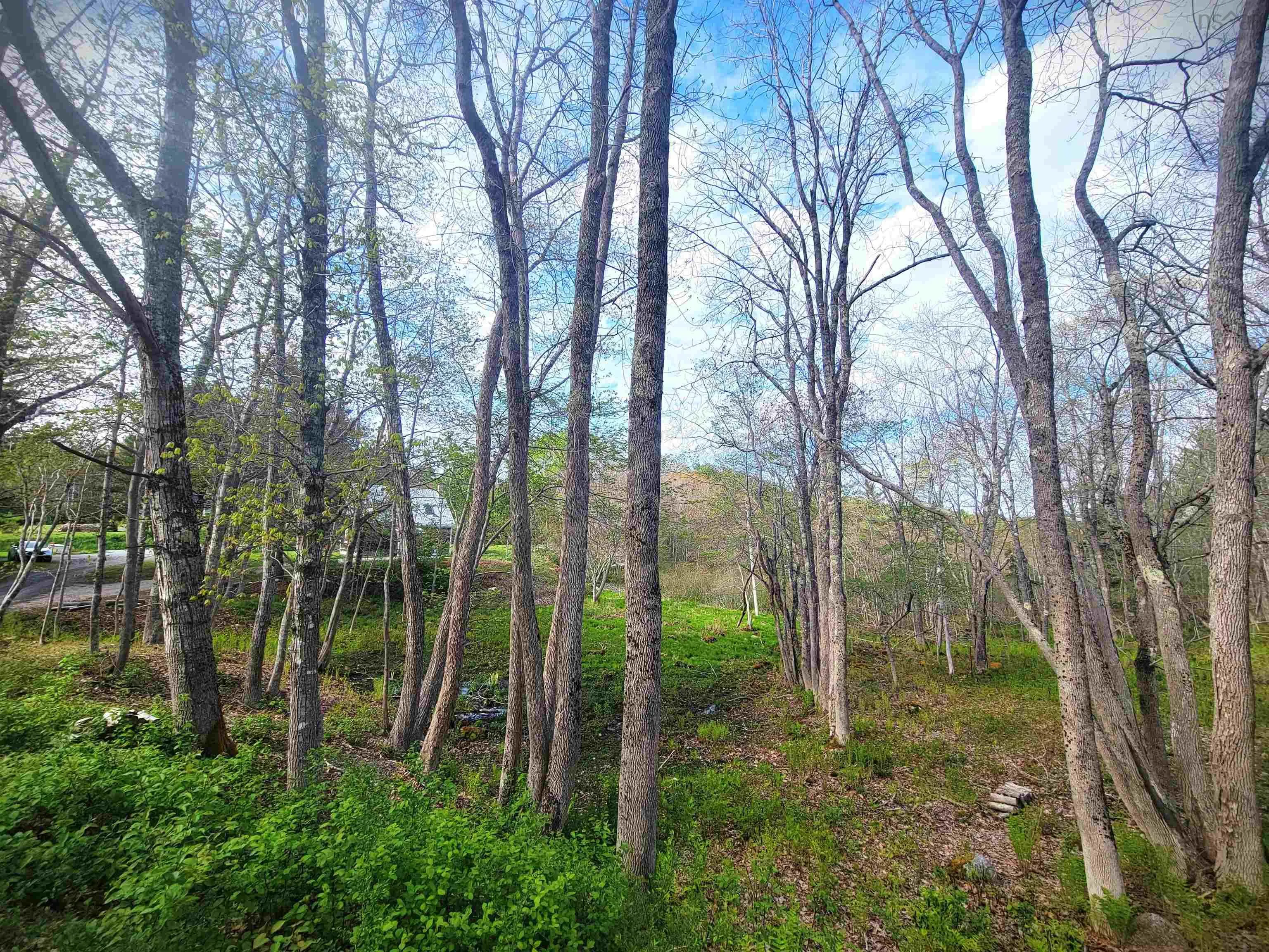 8471 Highway 3, Oakland Ns B0j 2e0, ,Commercial Sale,For Sale,Highway 3,202404061