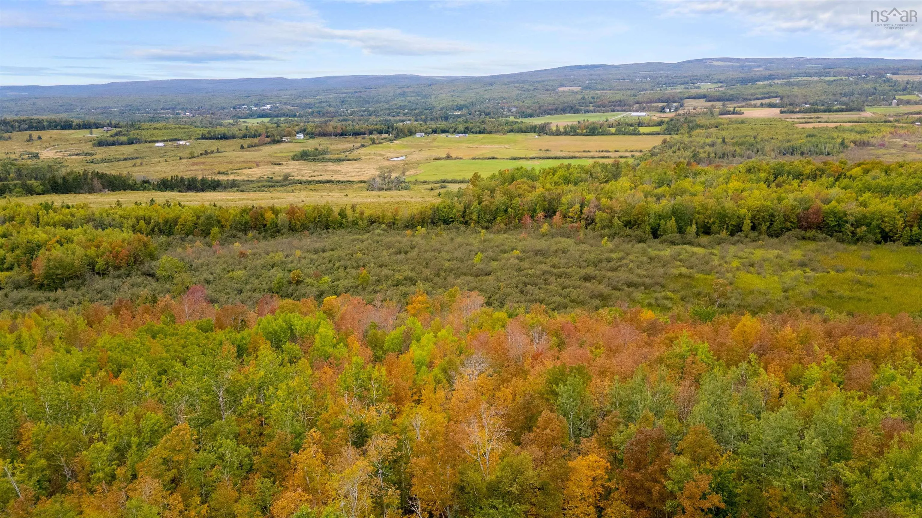 765 Dan Fraser Road, Greenhill Ns B0k 2a0, 4 Bedrooms Bedrooms, ,3 BathroomsBathrooms,Residential,For Sale,Dan Fraser,202508572